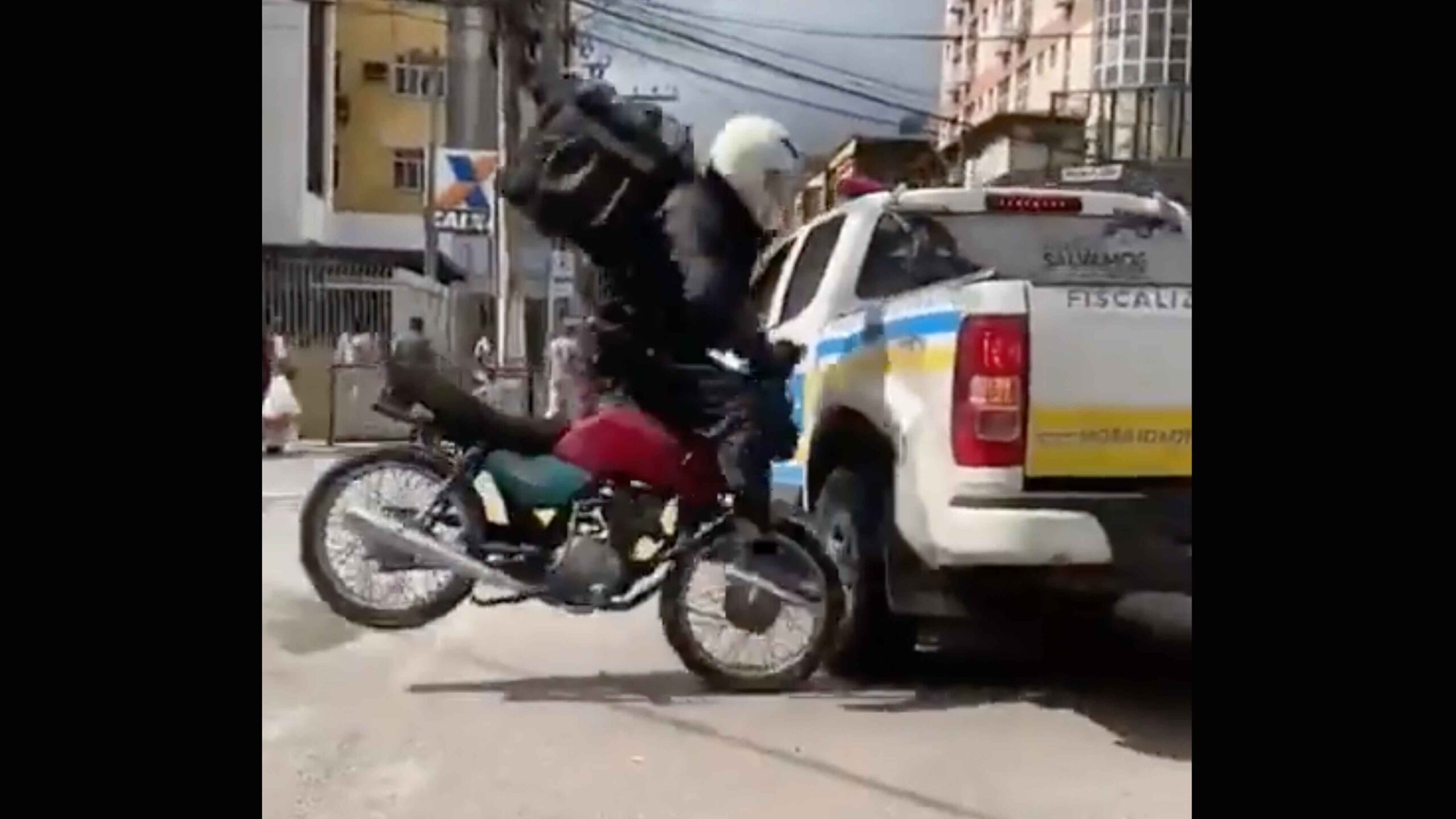 Darwin 3 28 23 scaled