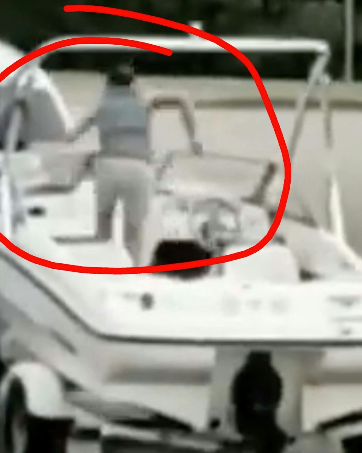 Darwin 9 15 22 no play scaled