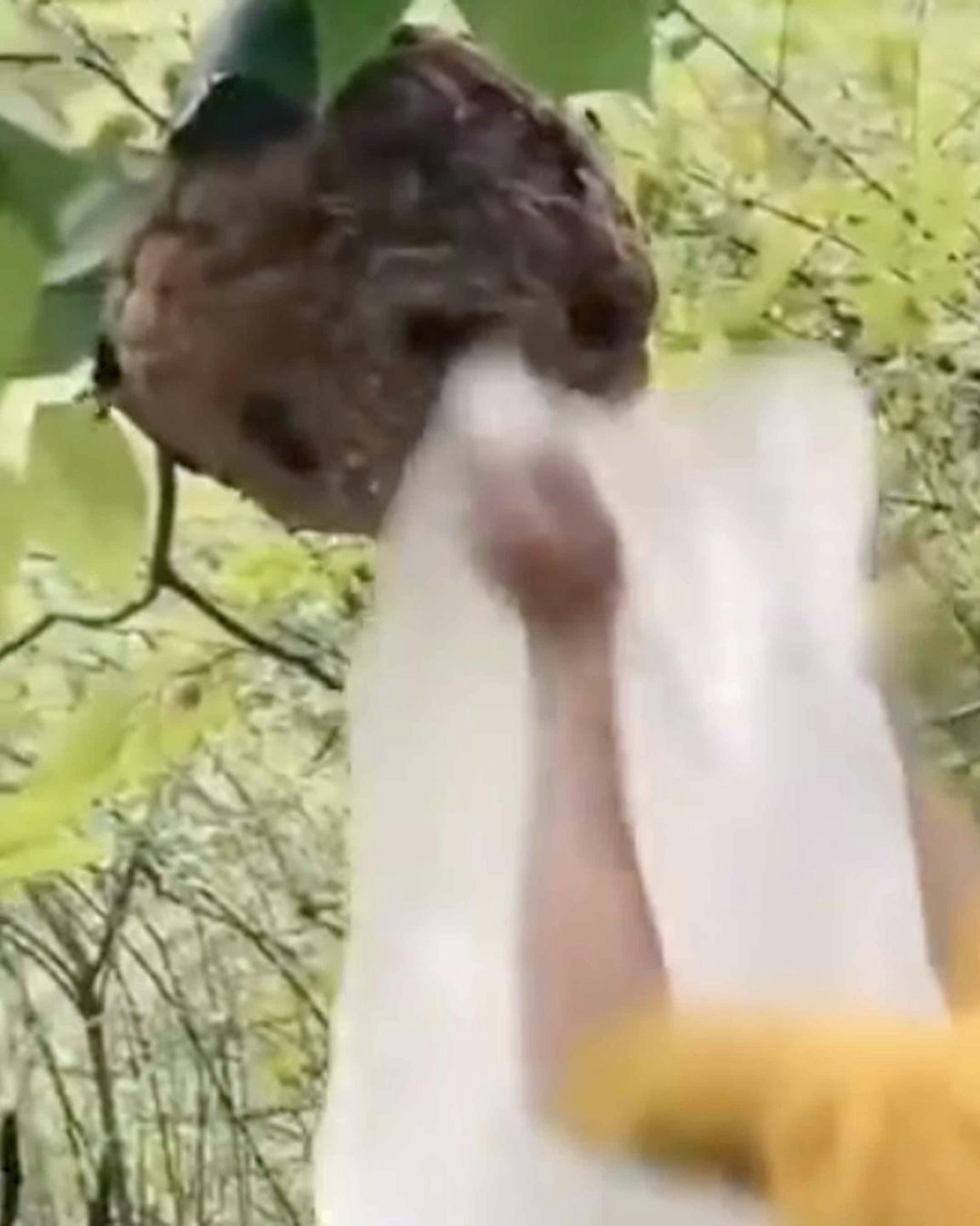 Darwin 9 28 22 no play scaled