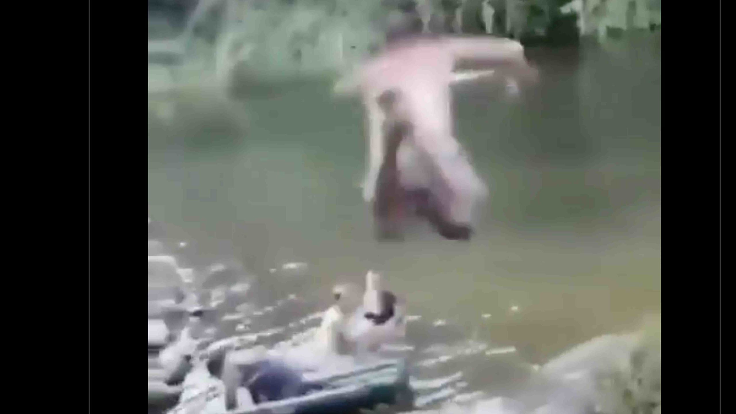 Darwin no play 10 20 22 scaled