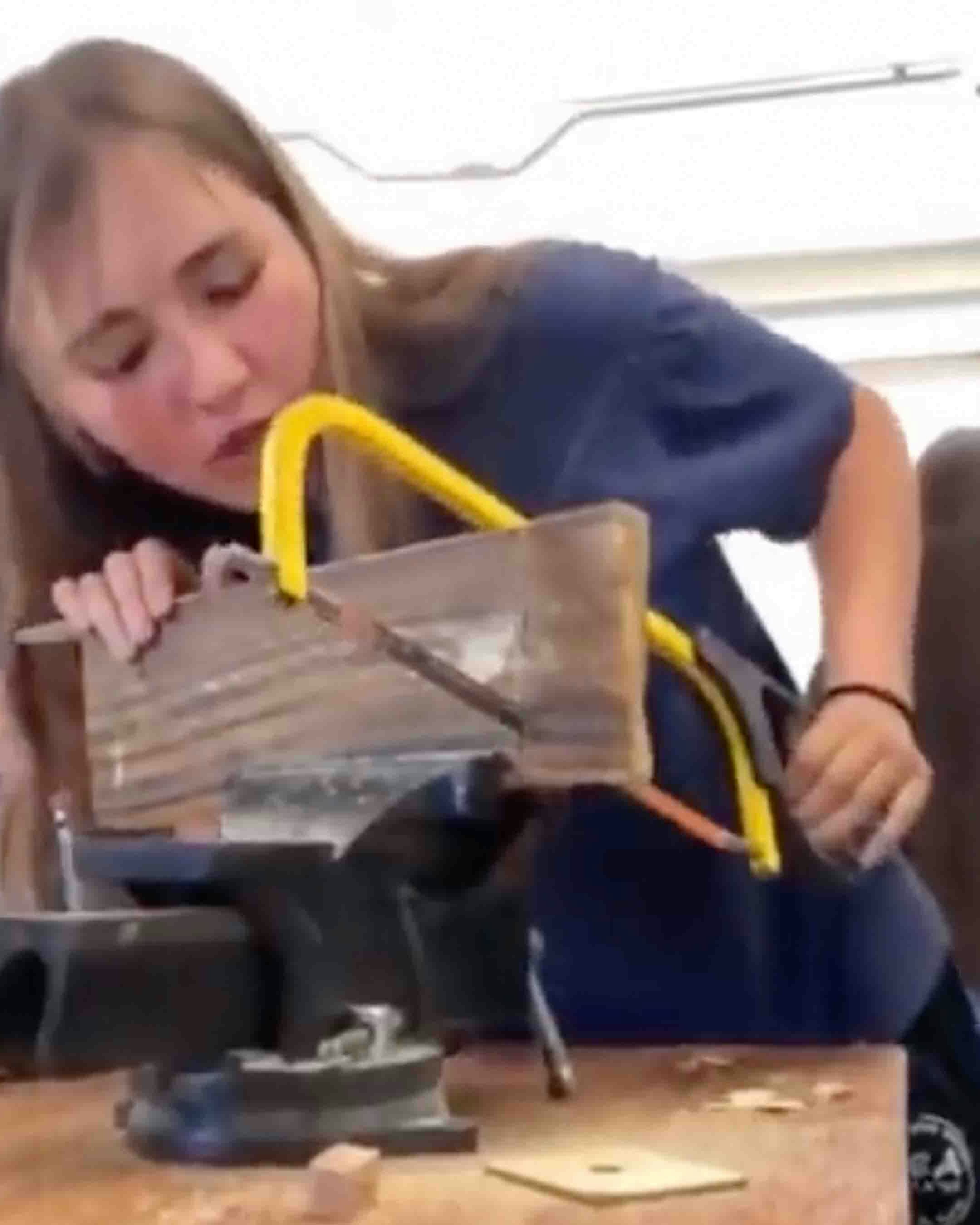 Darwin no play 11 30 23