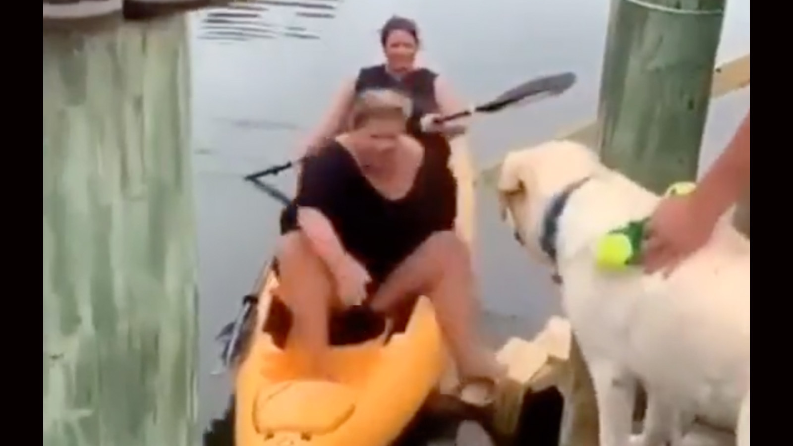 Darwin no play 12 7 22