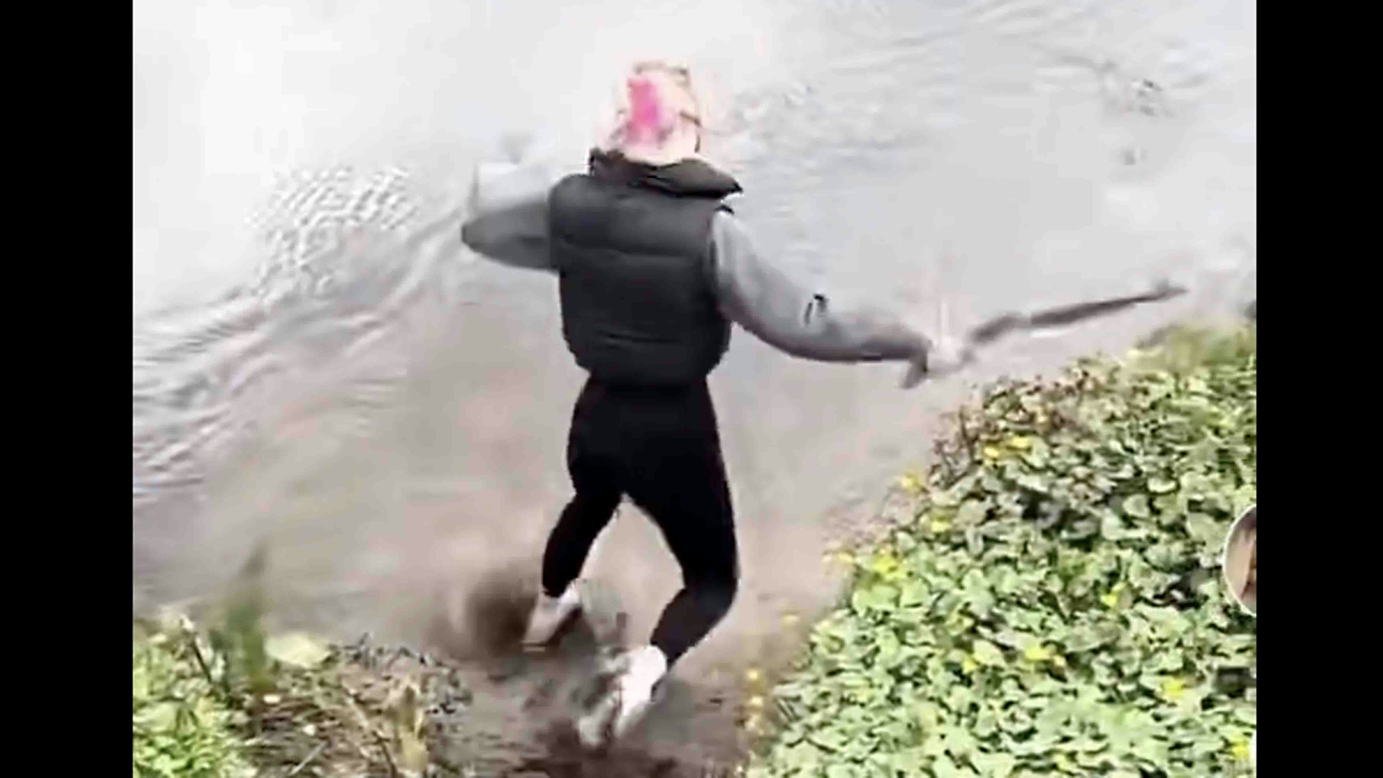 Darwin no play 4 8 25