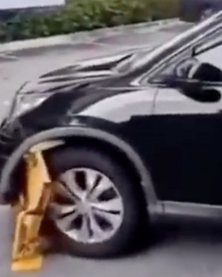 Darwin no play 9 19 22