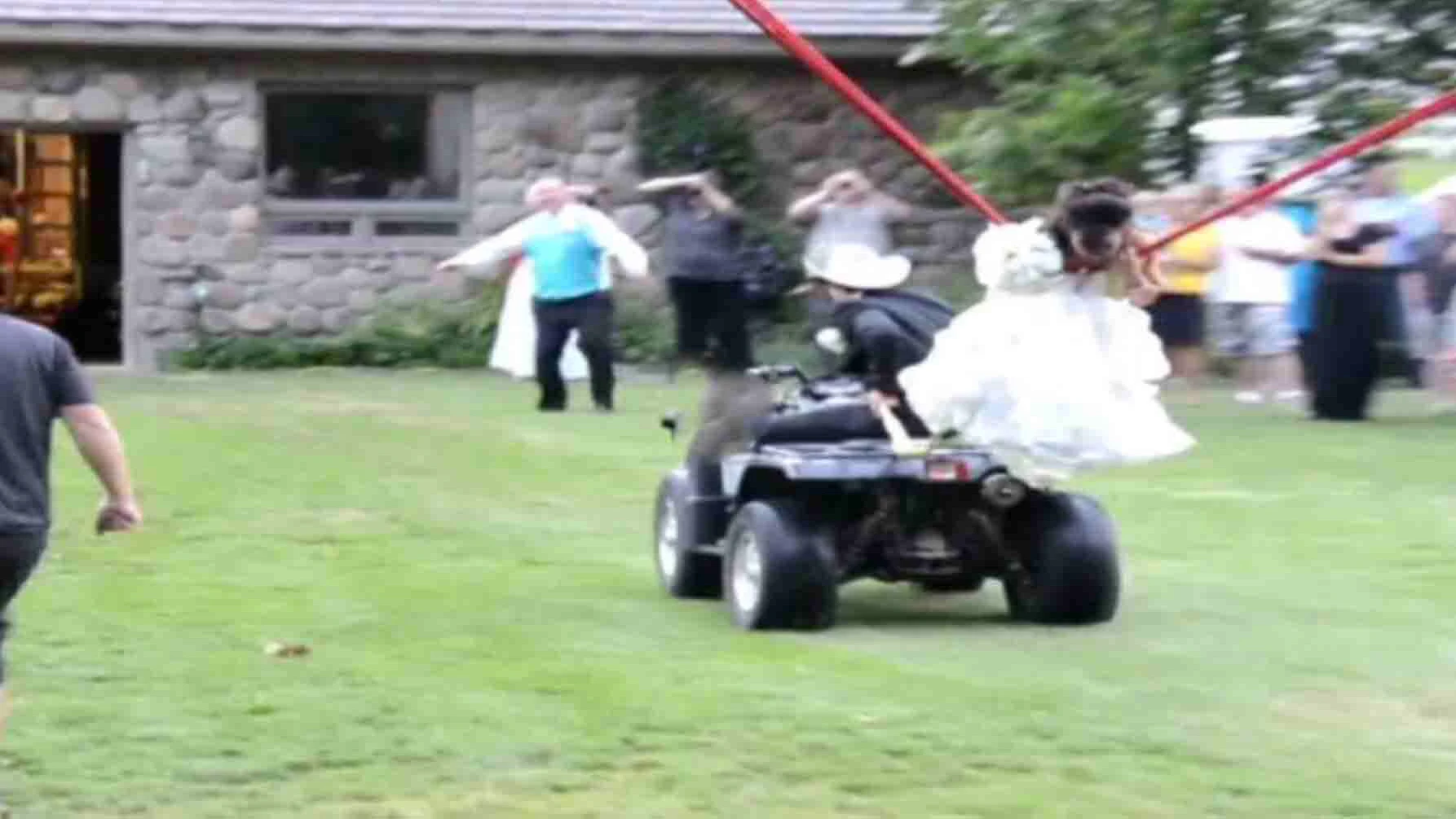 Darwin no play v2 2 5 24