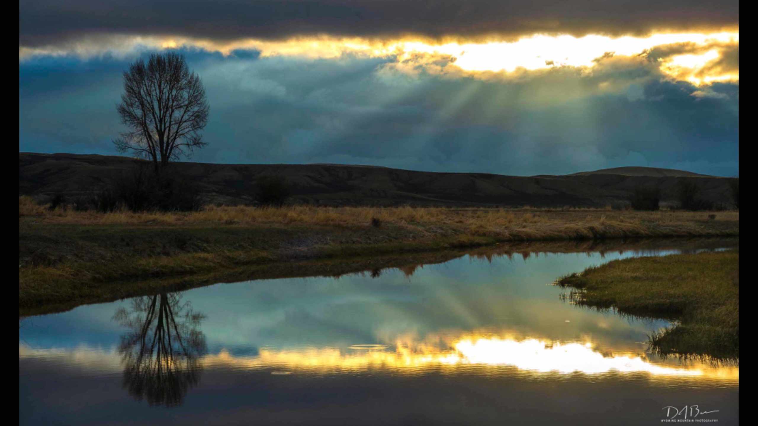 Dave bell 5 23 22 scaled