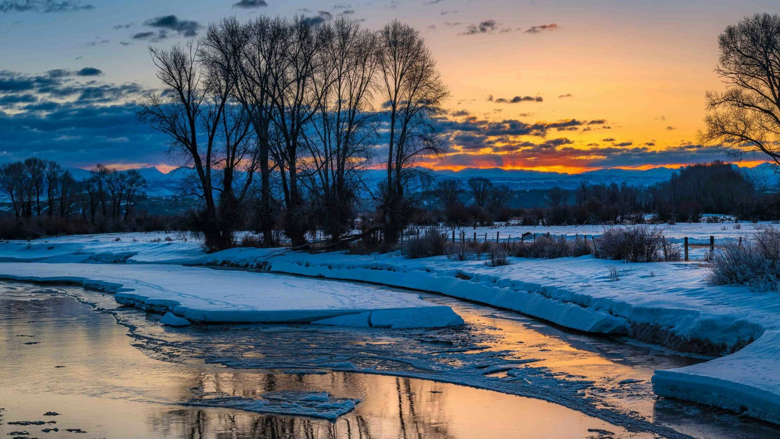 Dave bell 6 1 22 v2 scaled