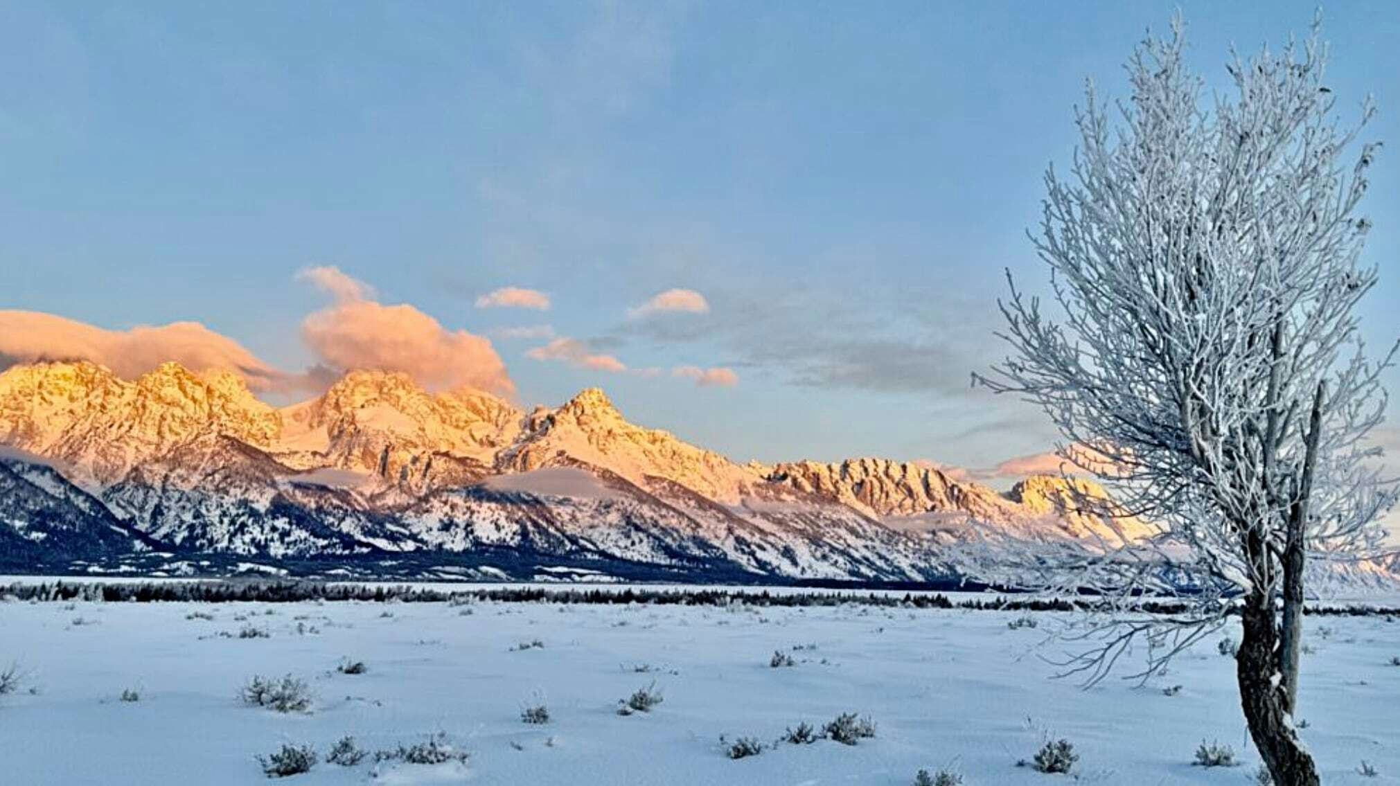 “We drove to the end of the plowed portion of Antelope Flats Road to see this morning's sunrise. Watching the pinks and blues move throughout the vast sky as the sun rose was magical. God's creation is truly awe-inspiring!" Moose, WY