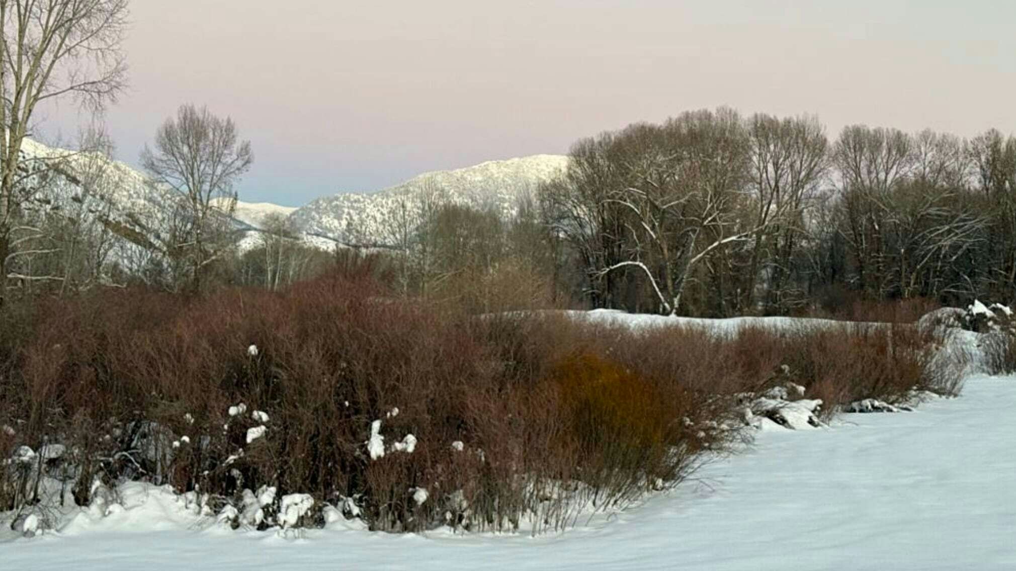 “These snow-laced limbs and winter’s willows in Bedford are a show-stopper. Had to stop and appreciate this moment. Enjoy!" 