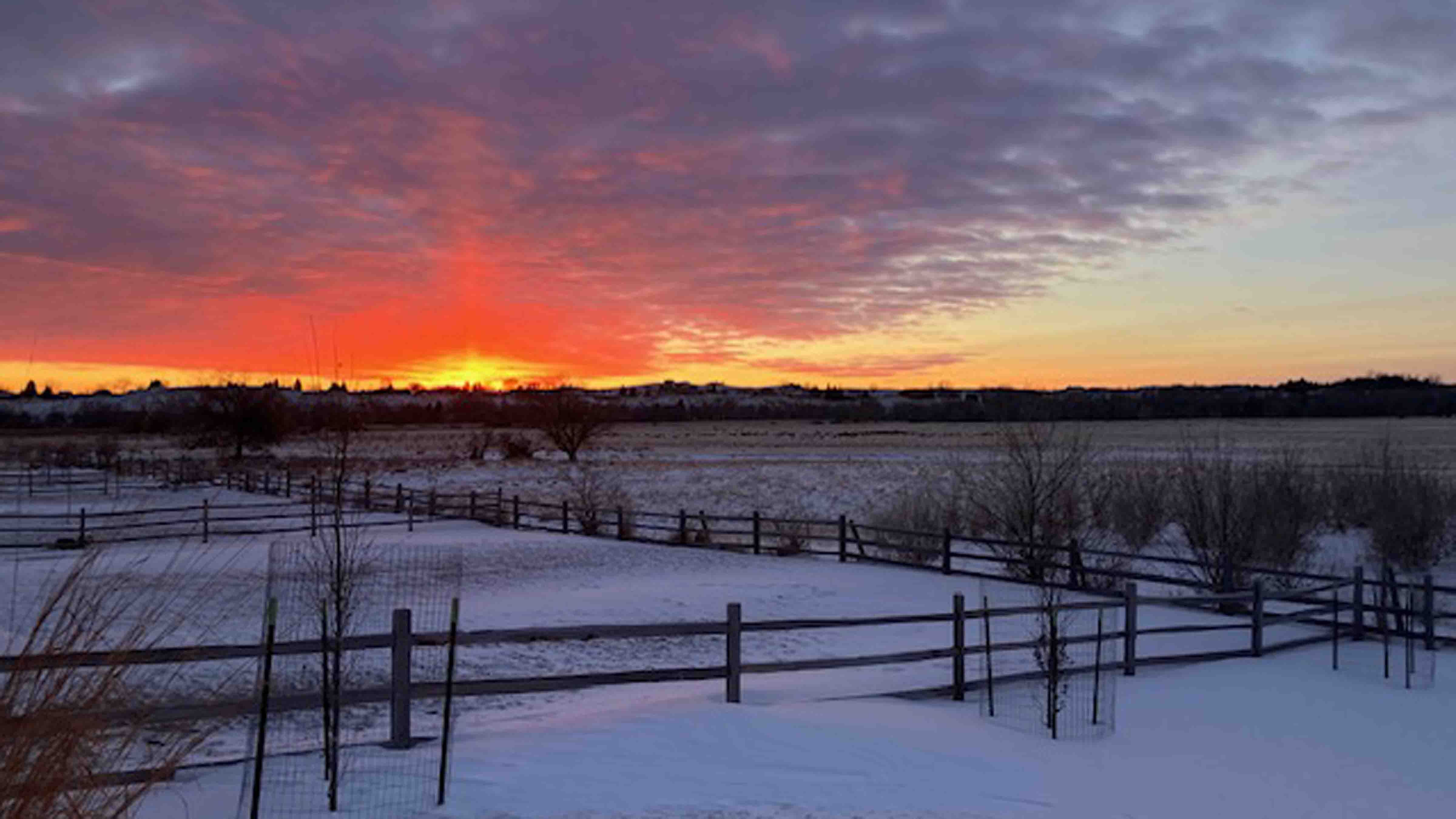 Don Day Wyoming Weather Forecast Sunday January 21 2024 Your   Daycap 1 21 24 