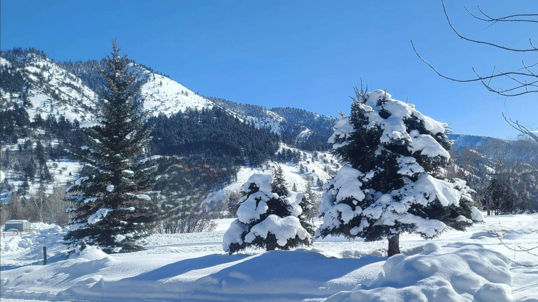 "The winter wonderland that we are lucky enough to be surrounded by." Star Valley Ranch, WY