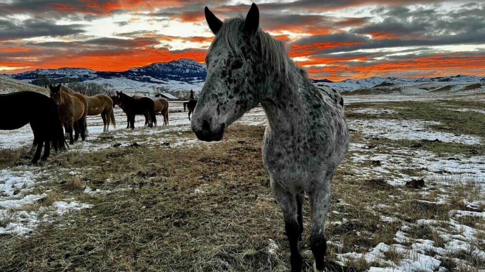 Sunset at the Hoodoo Ranch outside of Cody, Wyoming.