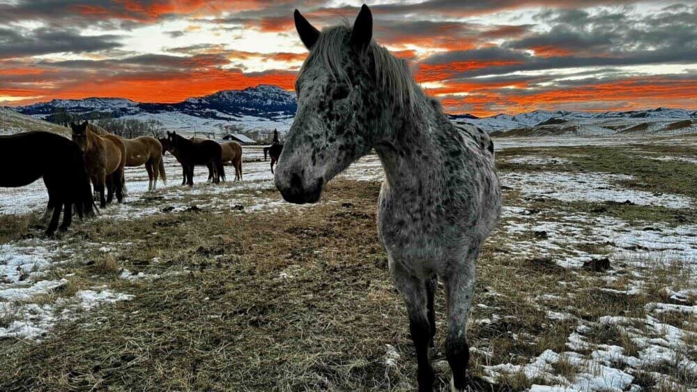 Sunset at the Hoodoo Ranch outside of Cody, Wyoming.