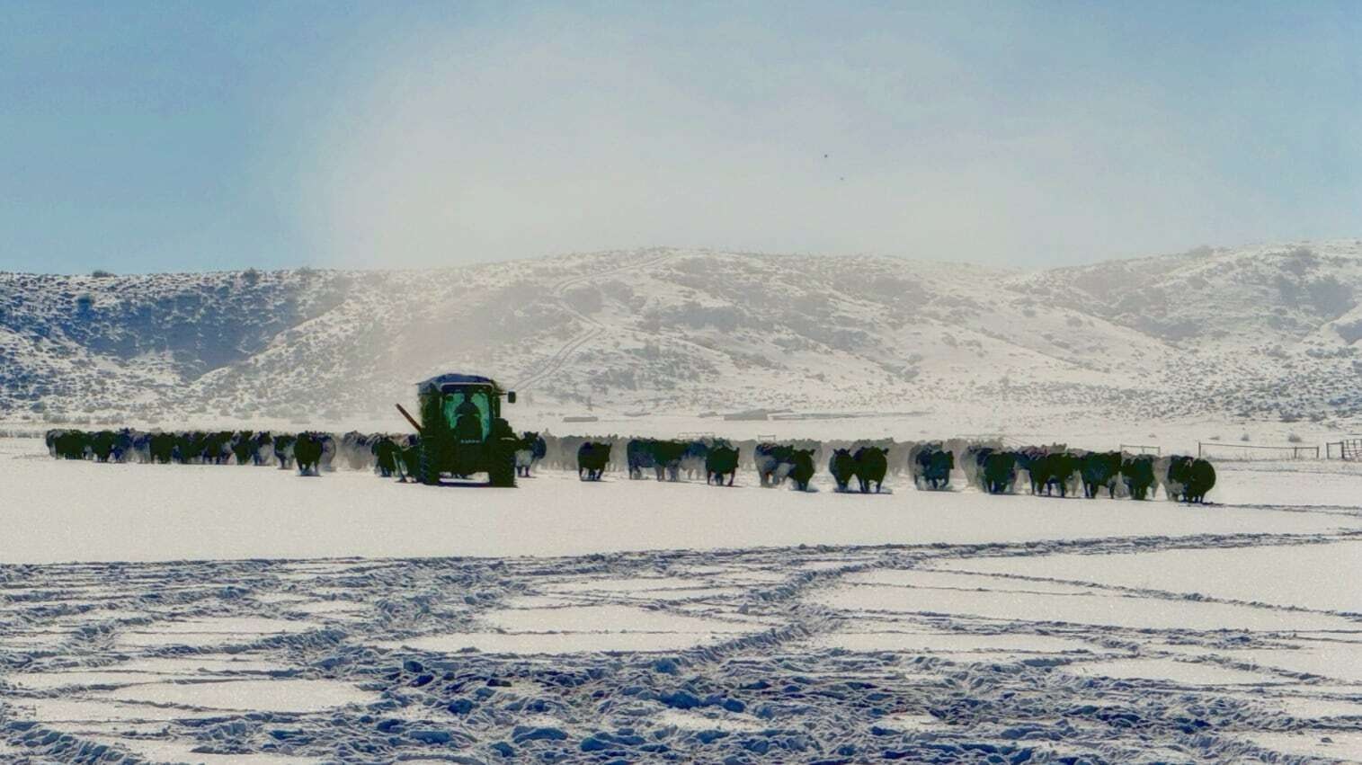 "A -10° morning outside Lander, WY. The relentless spirit of industry and hard work that permeates the state, especially its ranches. Life goes on in a tranquil, frozen world. Eat beef."