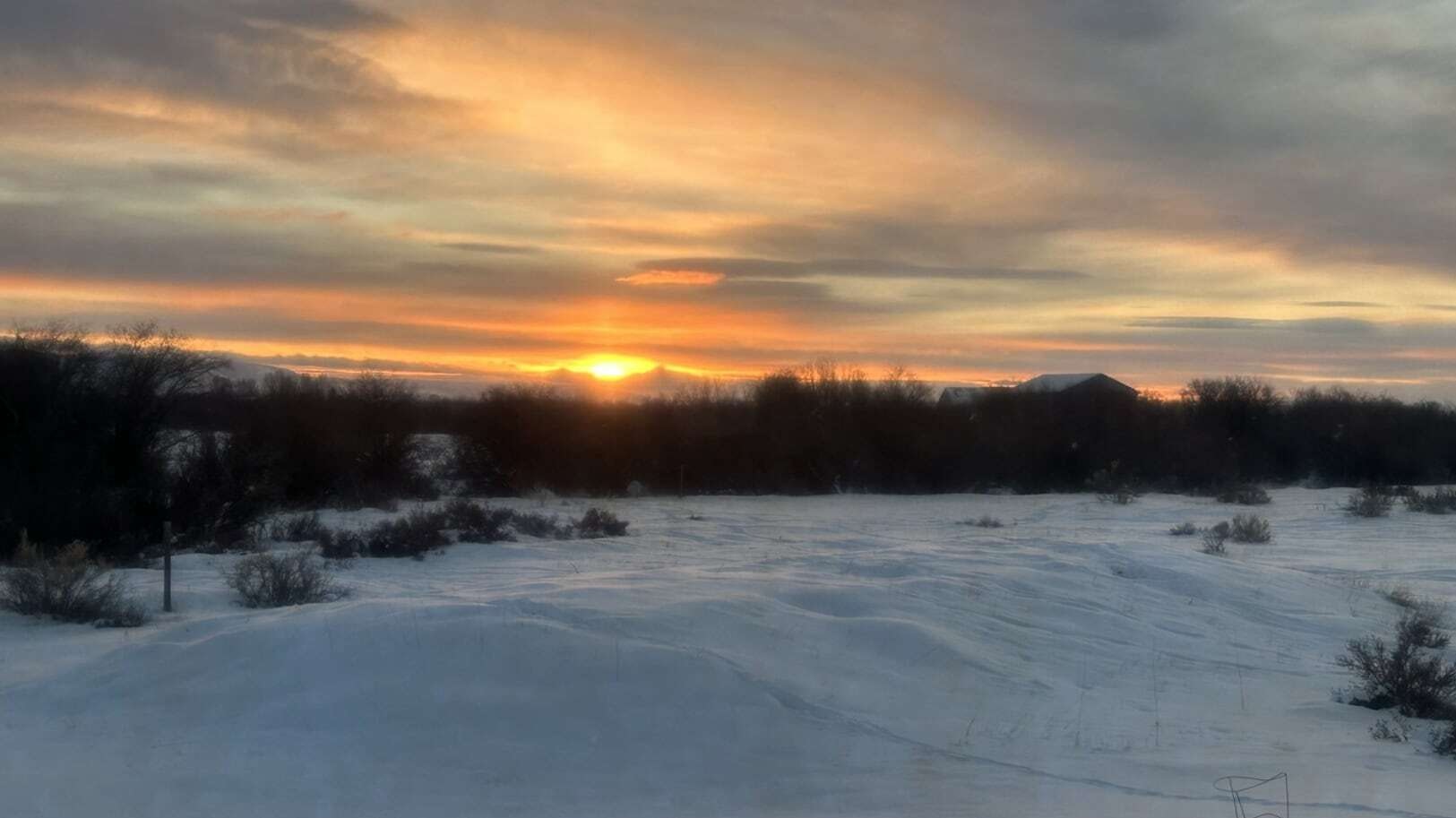 "Sunrise over the Wind River Range from our house in Pinedale."