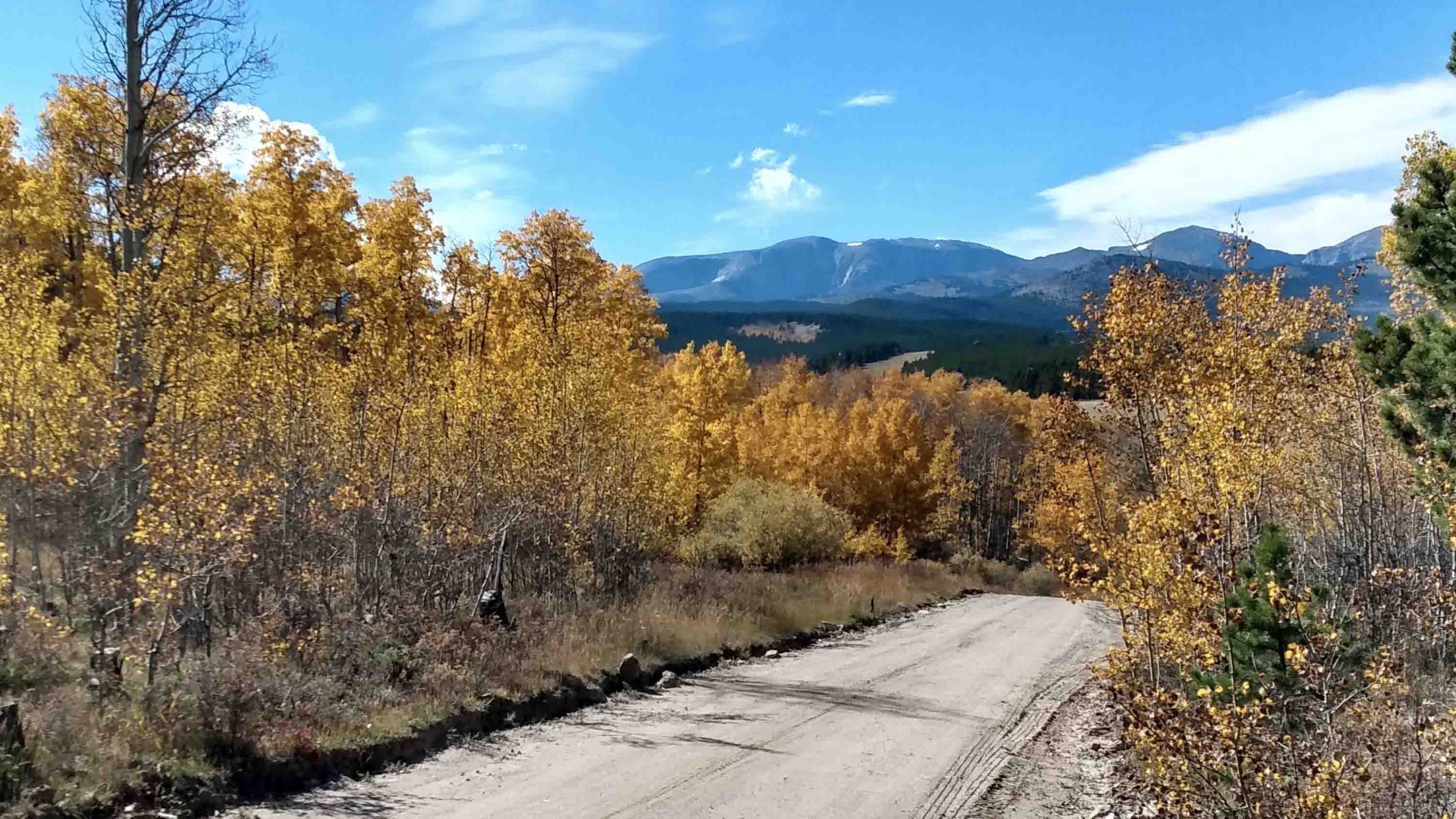 Driving in Bighorn Mountains on Sept 28, 2023.