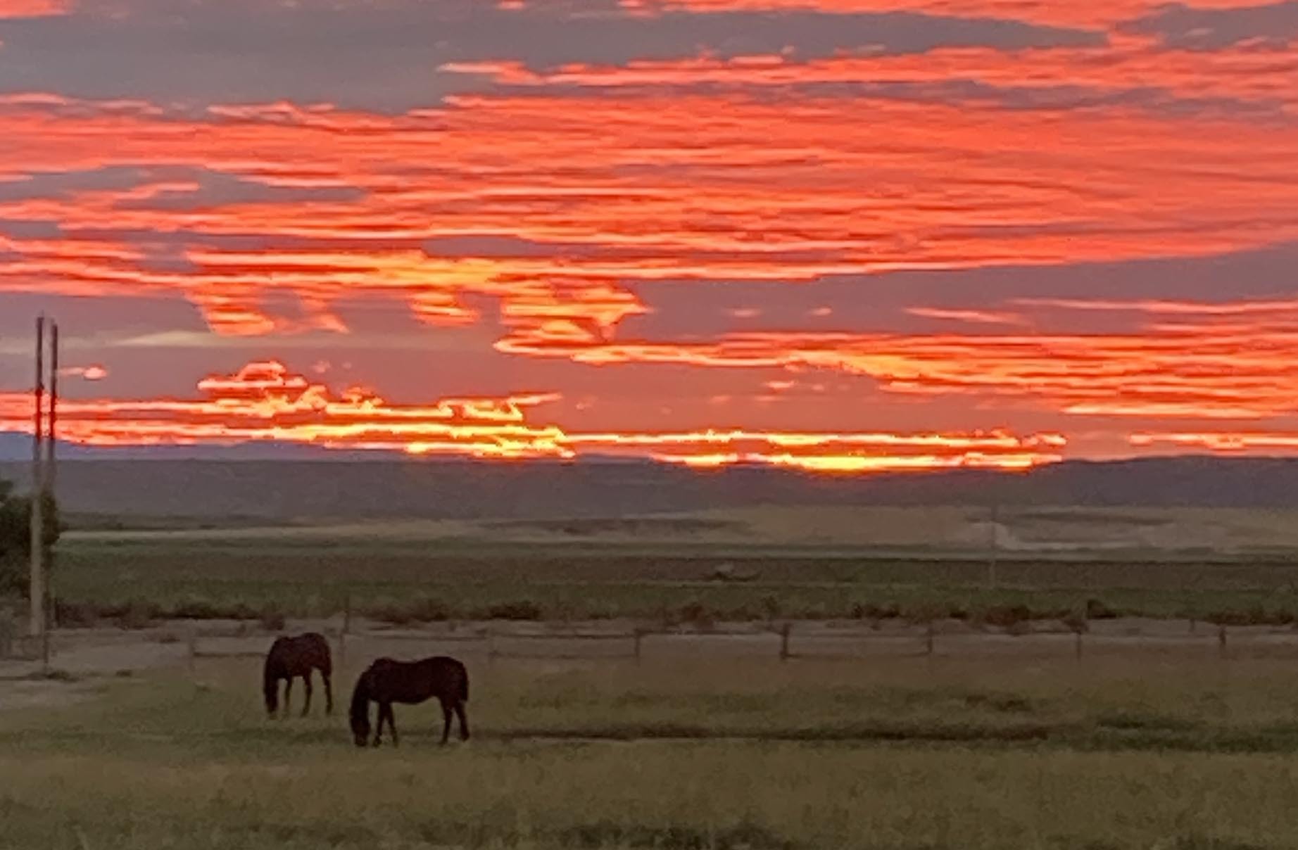 "My horses against the sunrise in Worland, Wyoming"