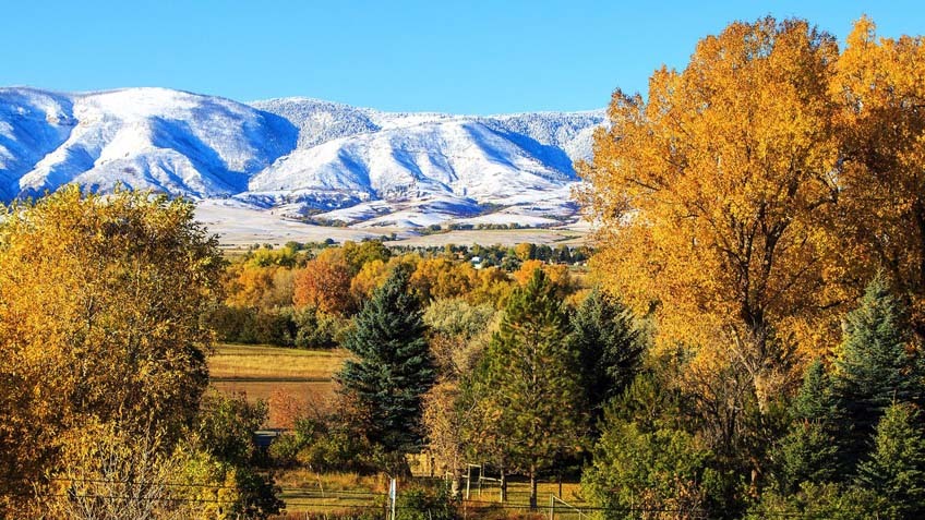 Near Big Horn, Wyoming on October 14, 2023.