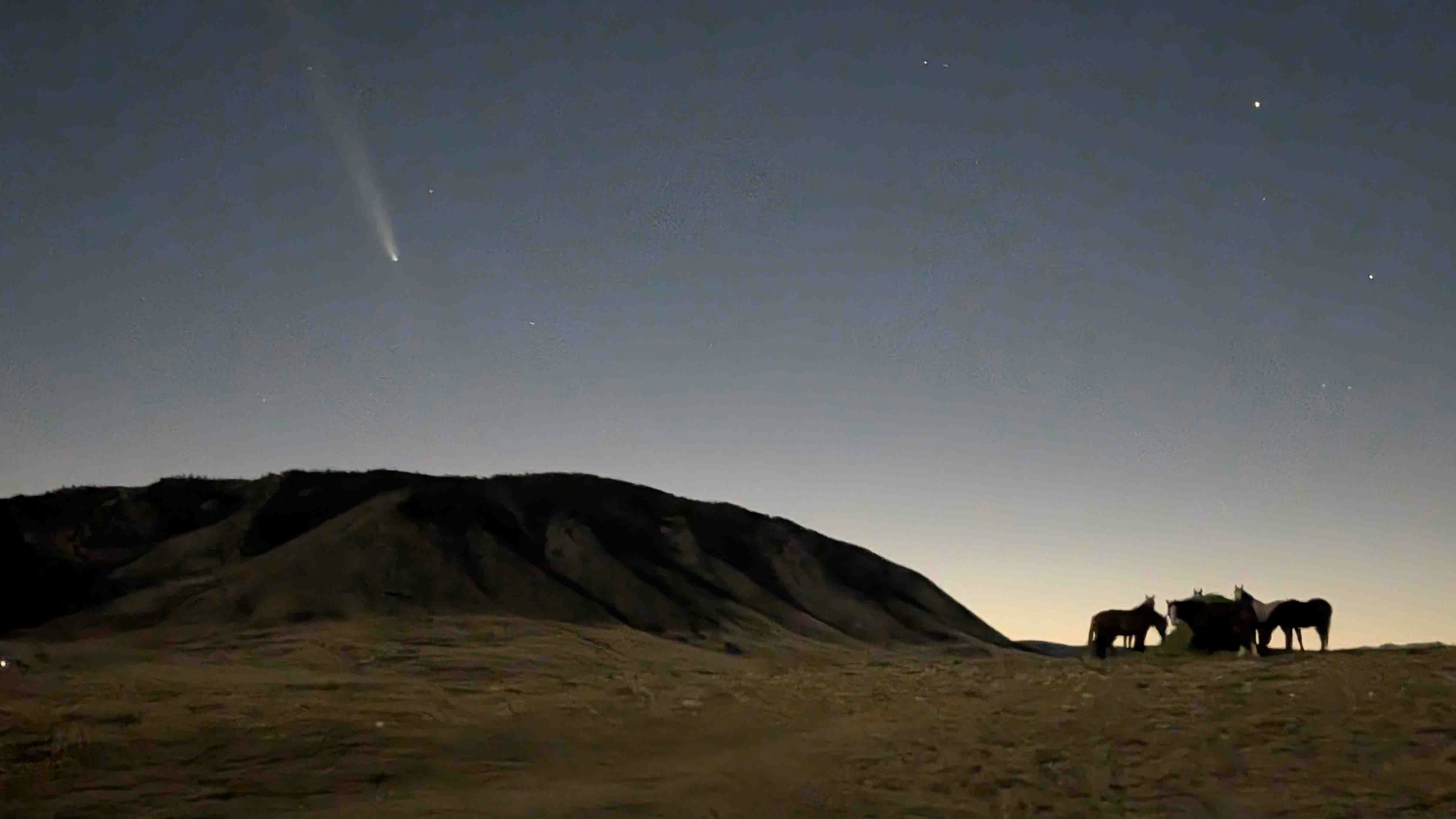 Comet over Sheep Mountain just west of Laramie on the Wild Horse Ranch, while some roaming horses were having their dinner.