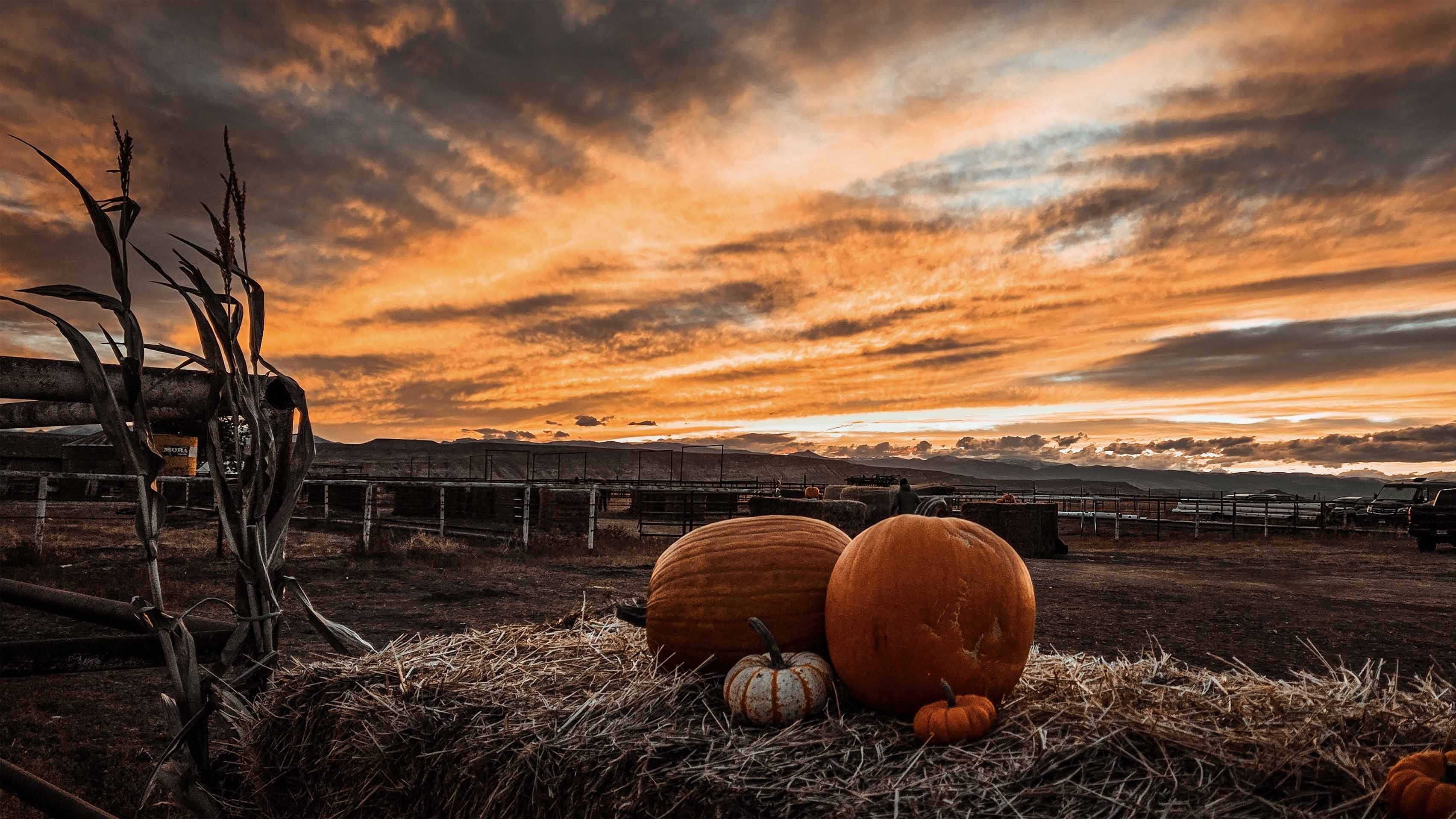 "There is something about October skies and autumn sunsets. Wind River Tribal Buffalo Initiative.""