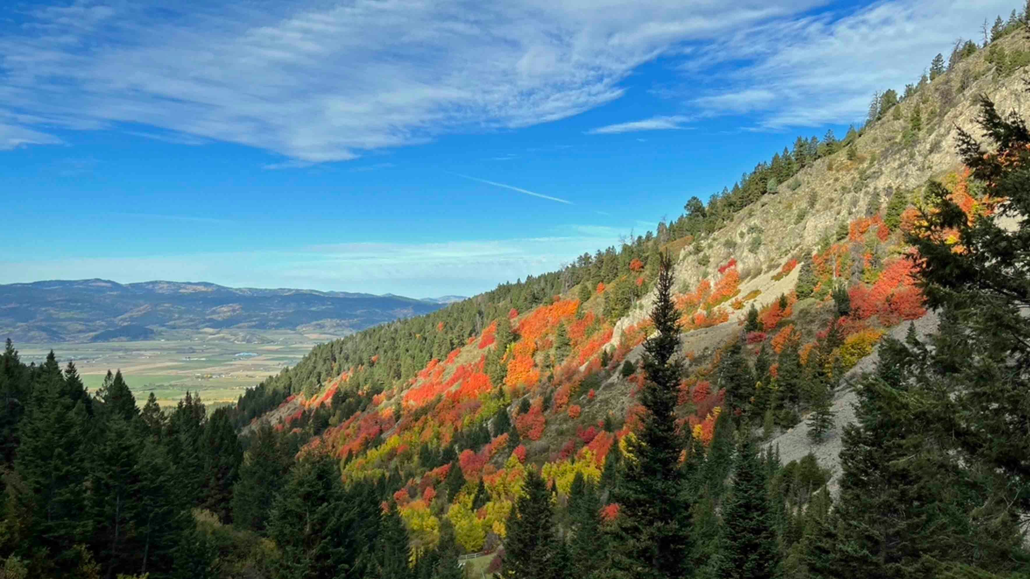 Bridger-Teton National Forest, Prater Canyon Trailhead, outside Star Valley Ranch on Oct 1, 2023