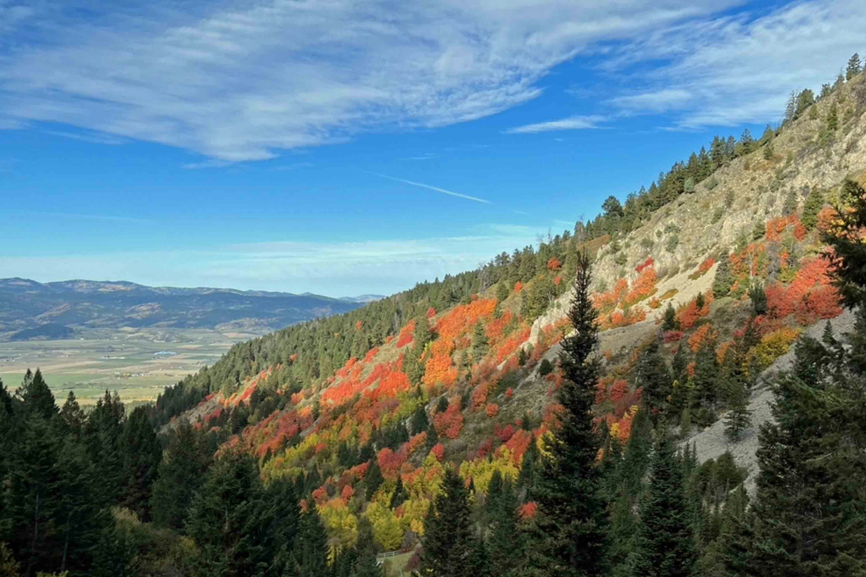 Bridger-Teton National Forest, Prater Canyon Trailhead, outside Star Valley Ranch on Oct 1, 2023