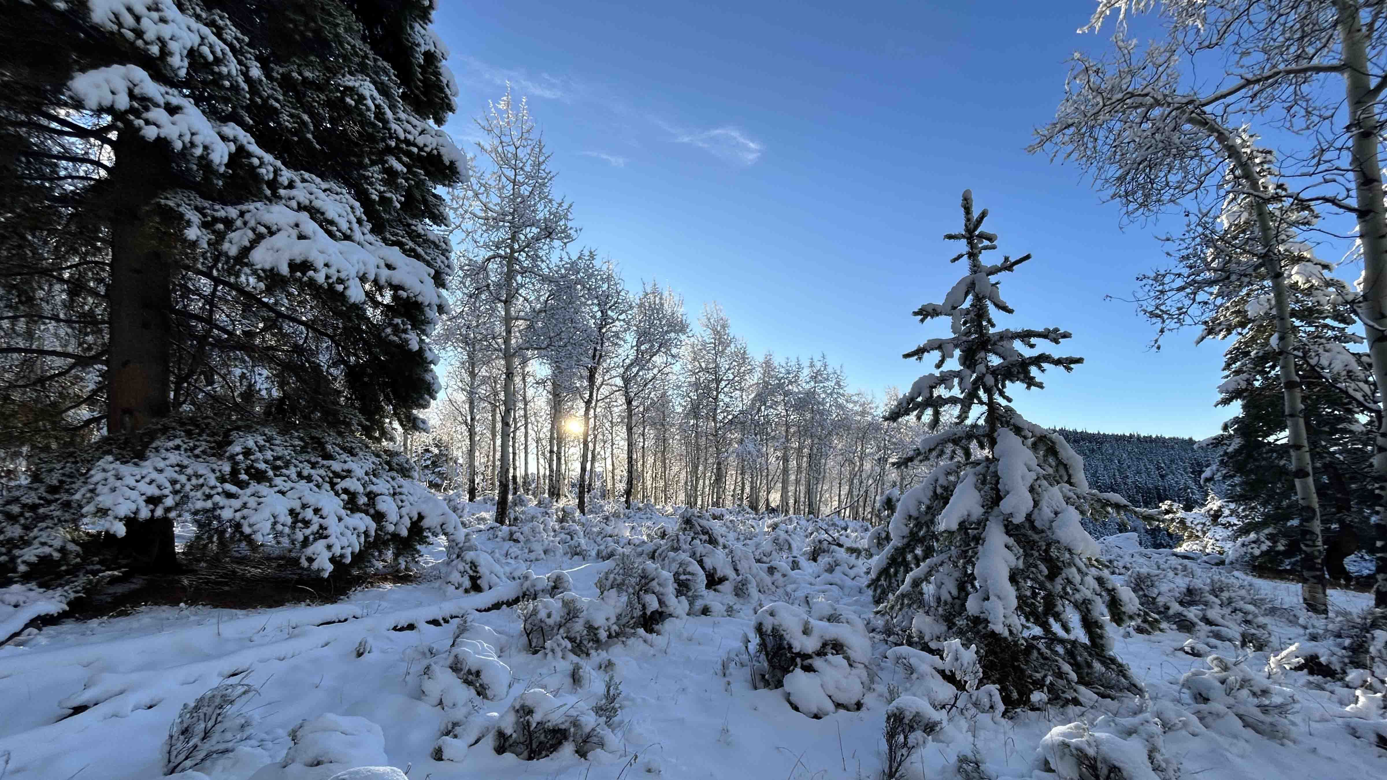 "Sunrise in the Bighorns near Ten Sleep. Crisp and clear after a good snow."
