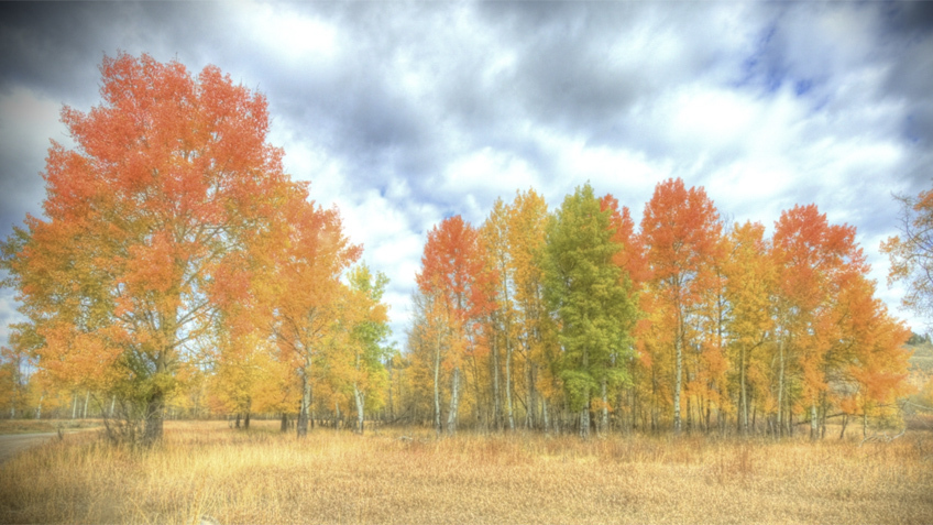 Oxbow Bend, Grand Teton National Park. Oct 19, 2023