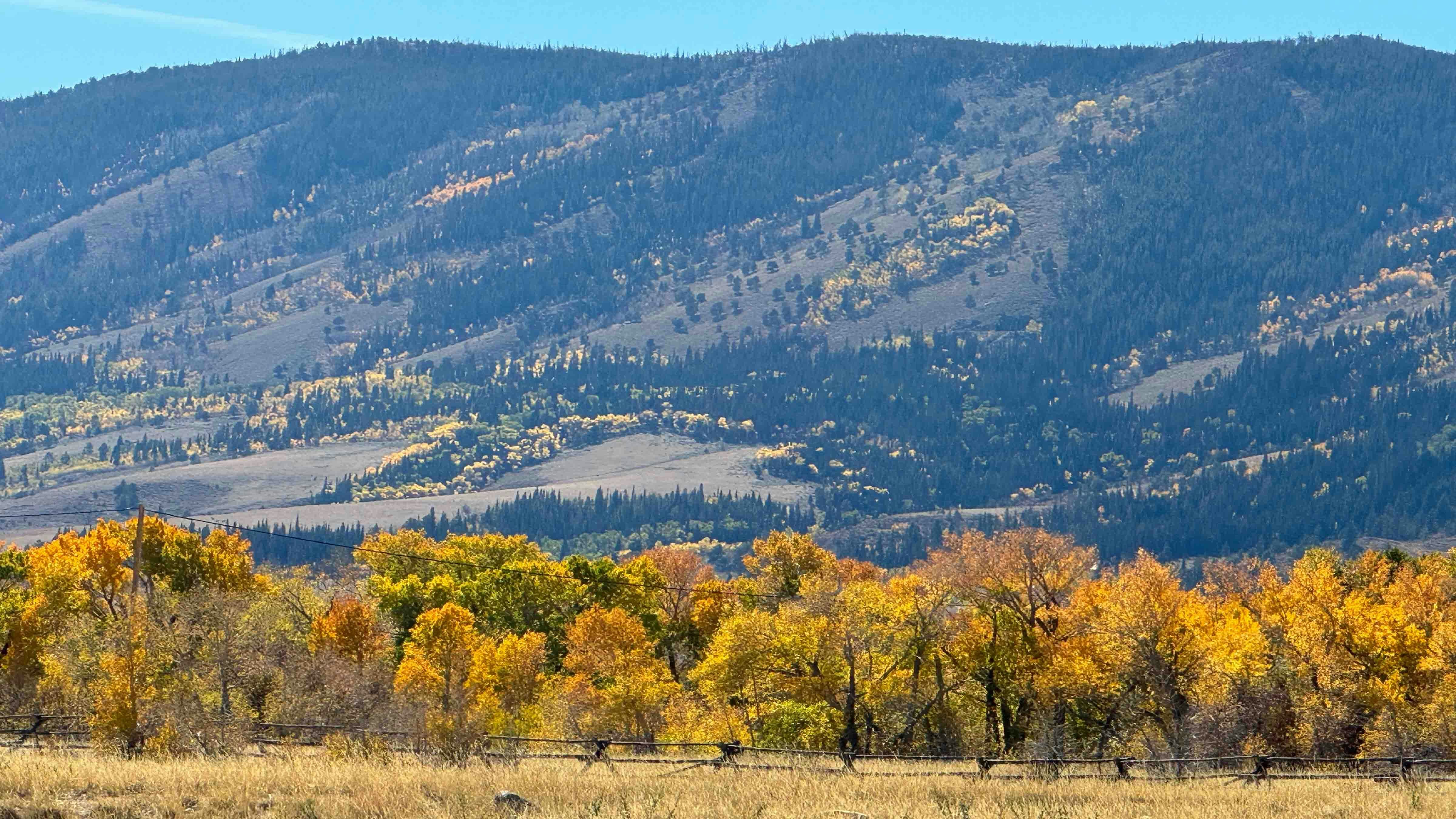 "We are blessed to live in the Centennial Valley (Albany County) on Oct 1, 2024."