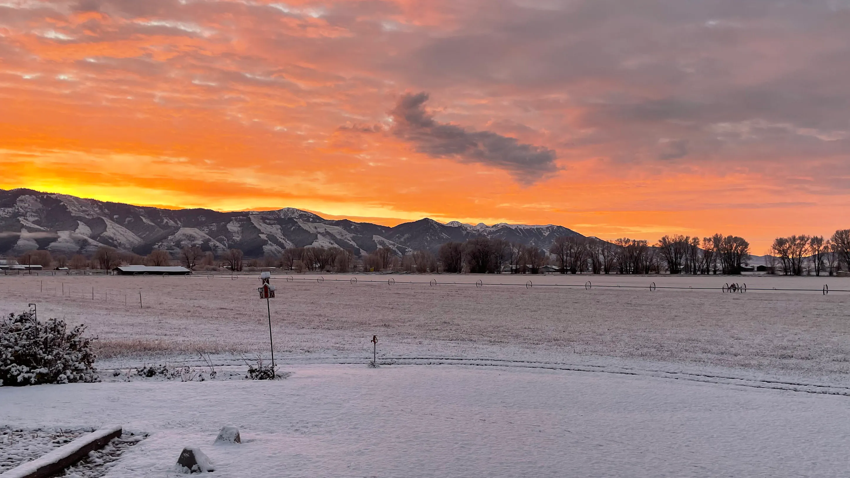 "Not quite ready for the snow yet, but here it is."