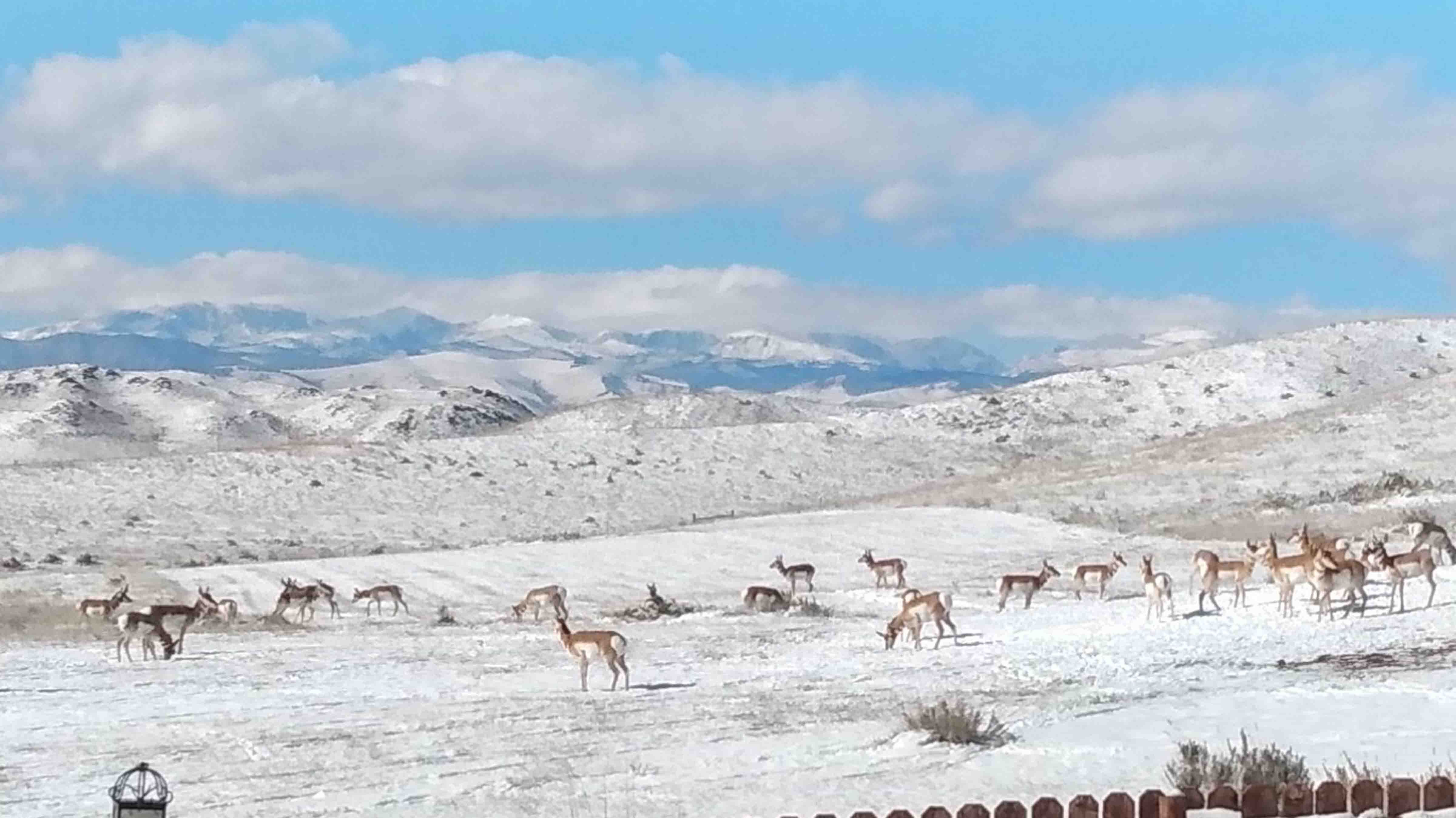 Red Horse Ranch east of Buffalo on Oct. 29, 2023