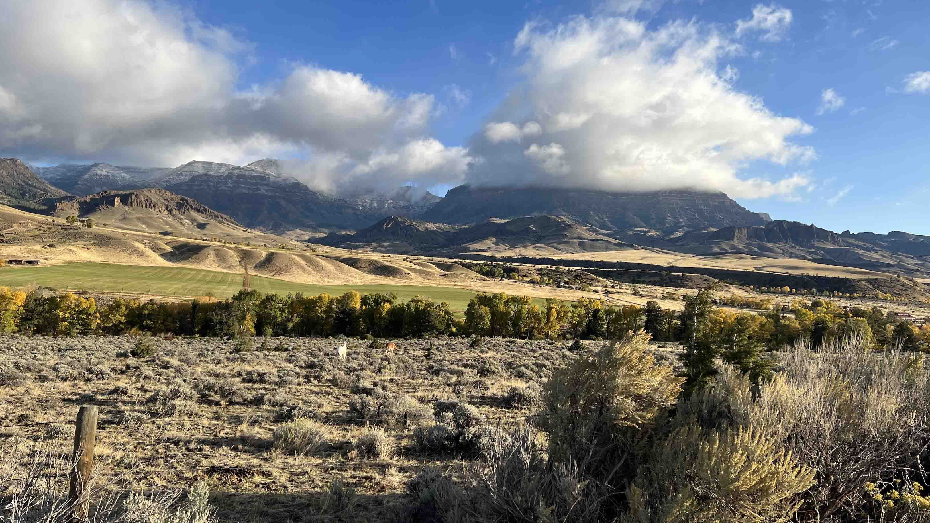 Horses in pasture and cloud-shrouded mountains west of Wapiti on Oct 4, 2023