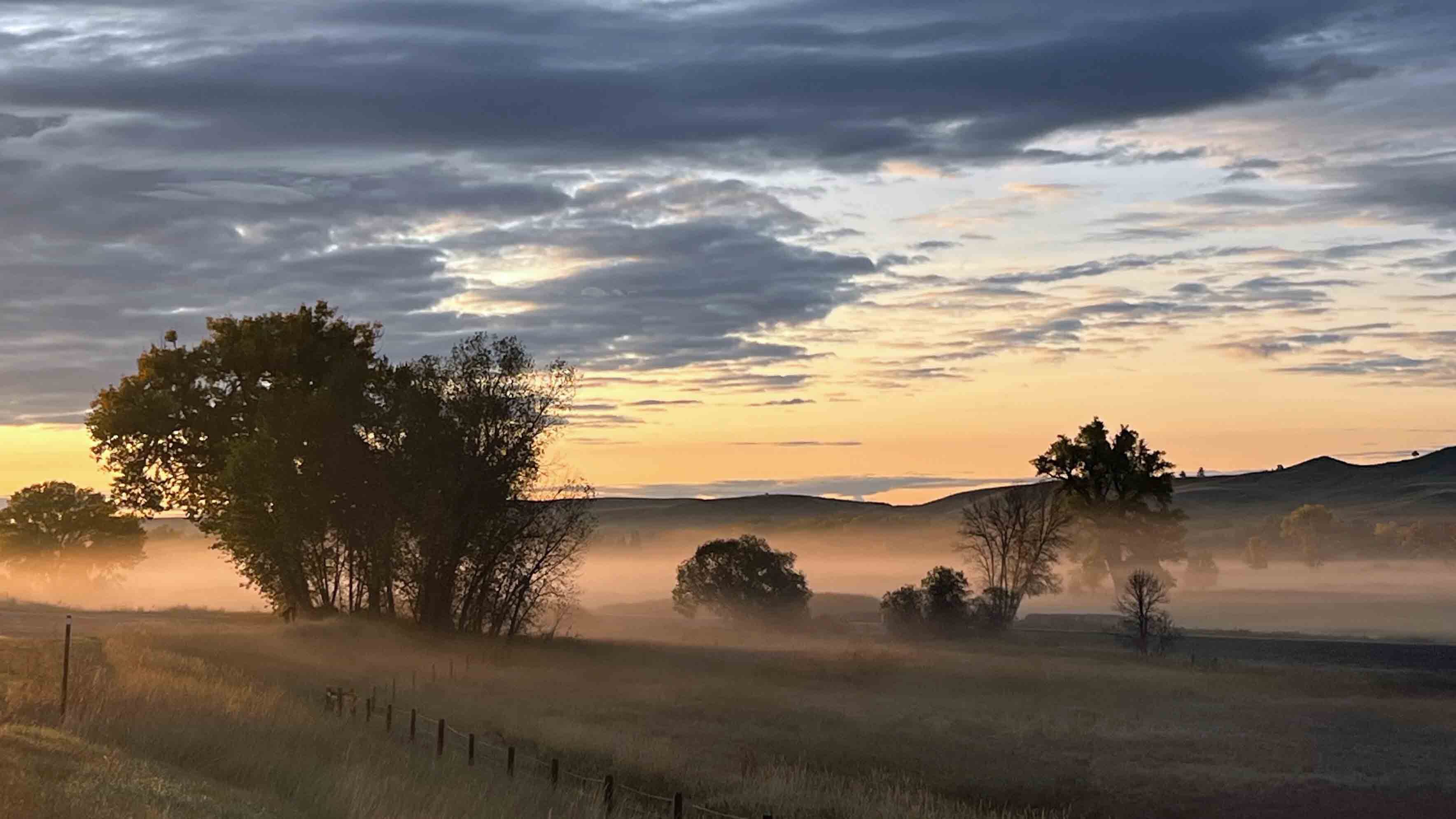 Misty morning on the Tongue River