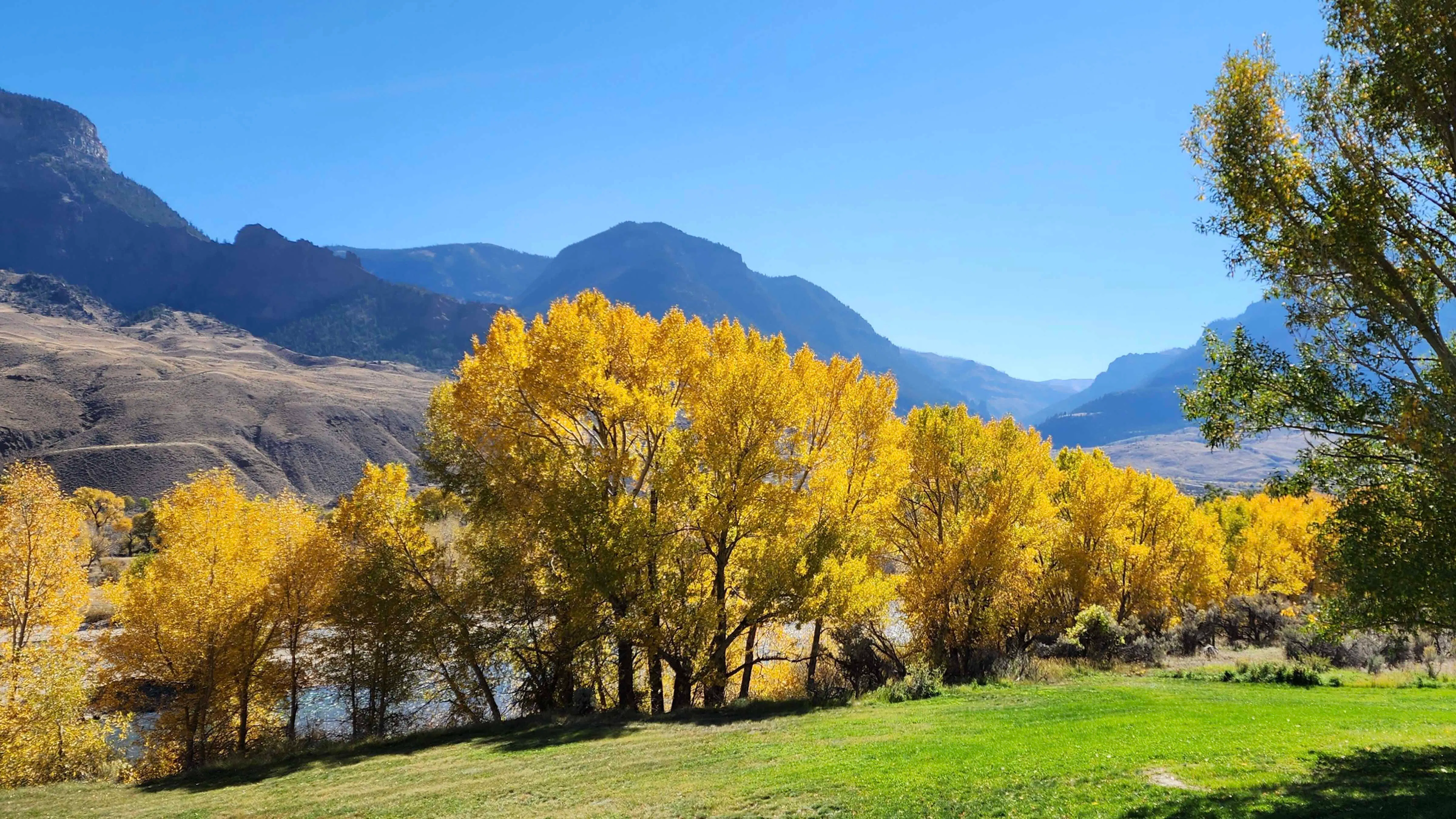 "It was a beautiful morning up South Fork."