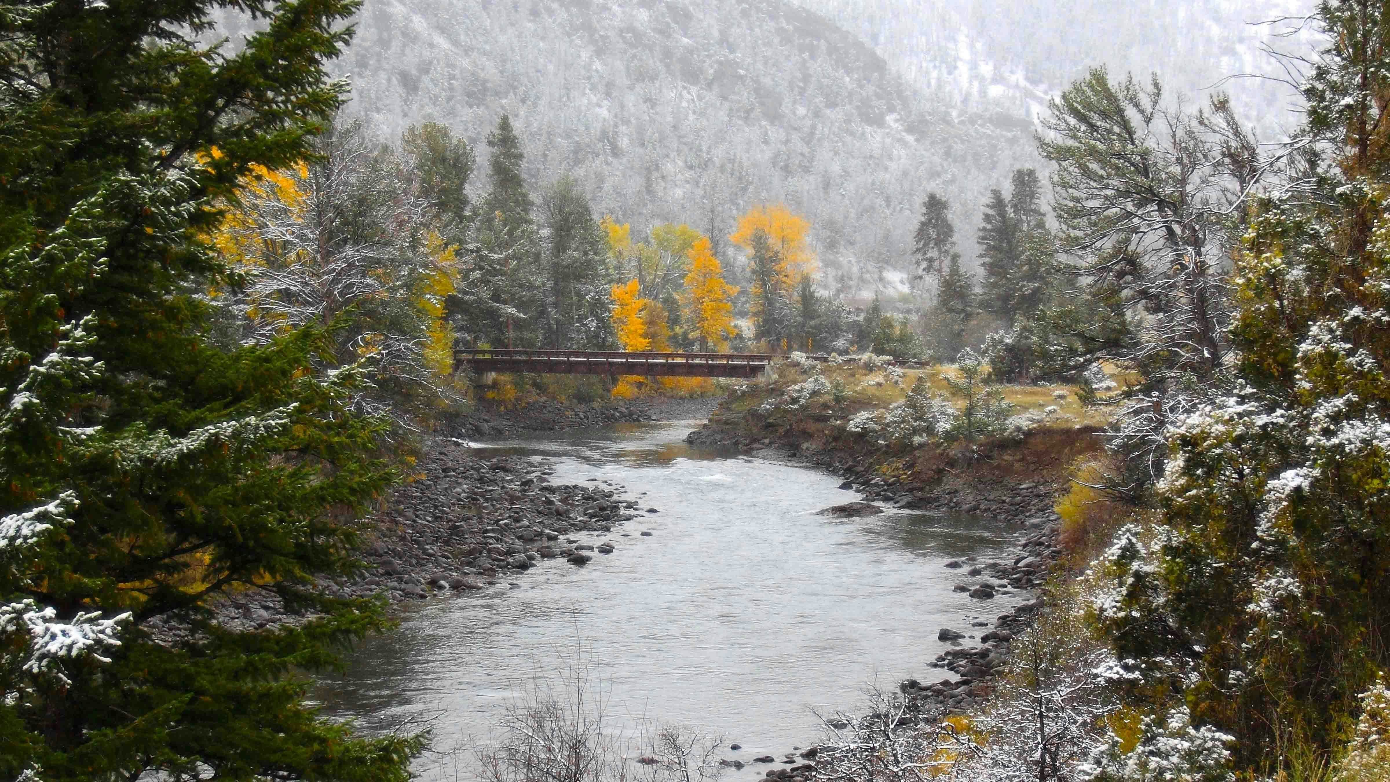 Between Wapiti, WY and East Gate of Yellowstone on Nov 1.