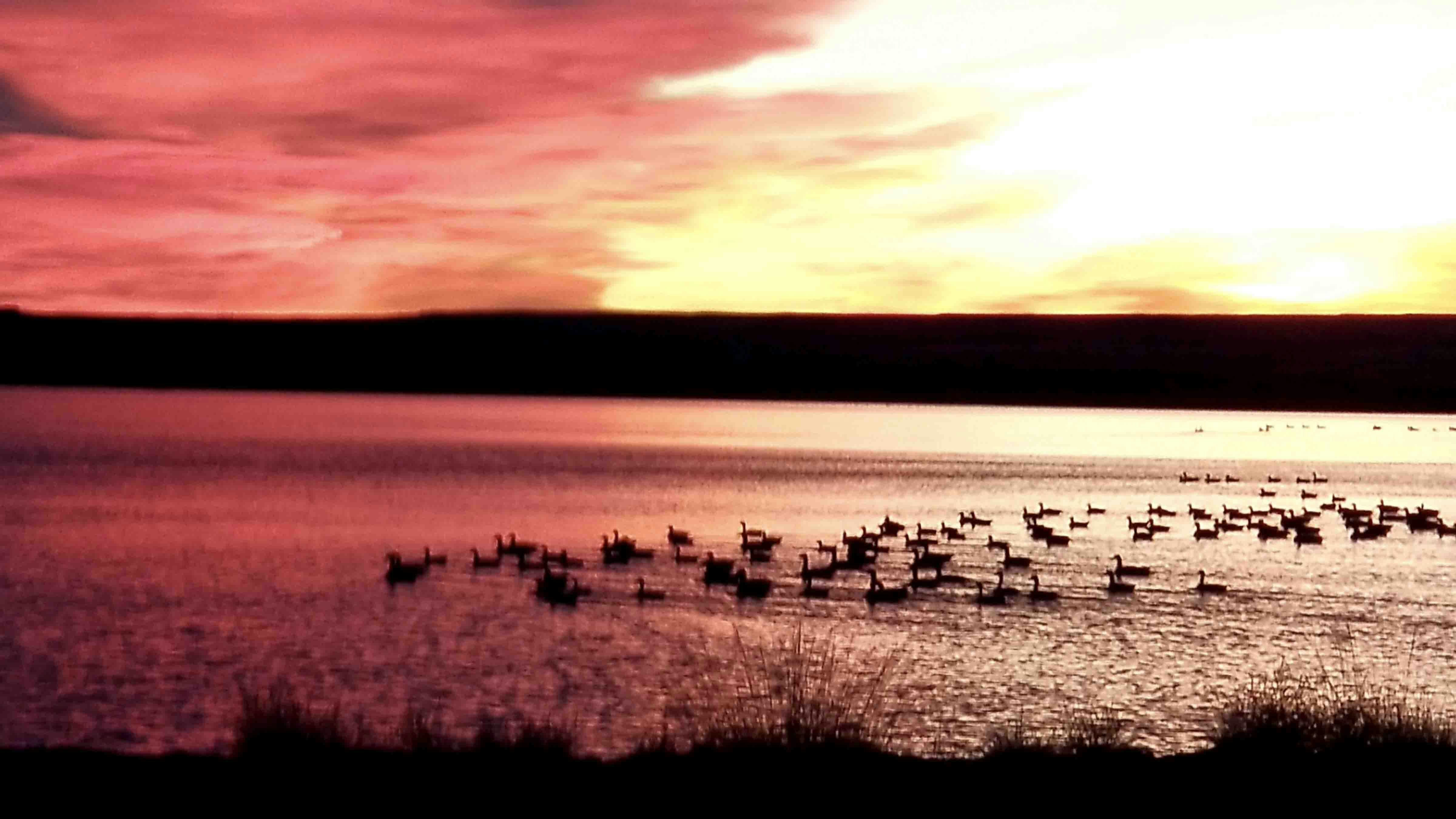 "Grayrocks Reservoir. Sky was an impressive glow of colors while geese chatted back and forth. Just a beautiful way to start my day."