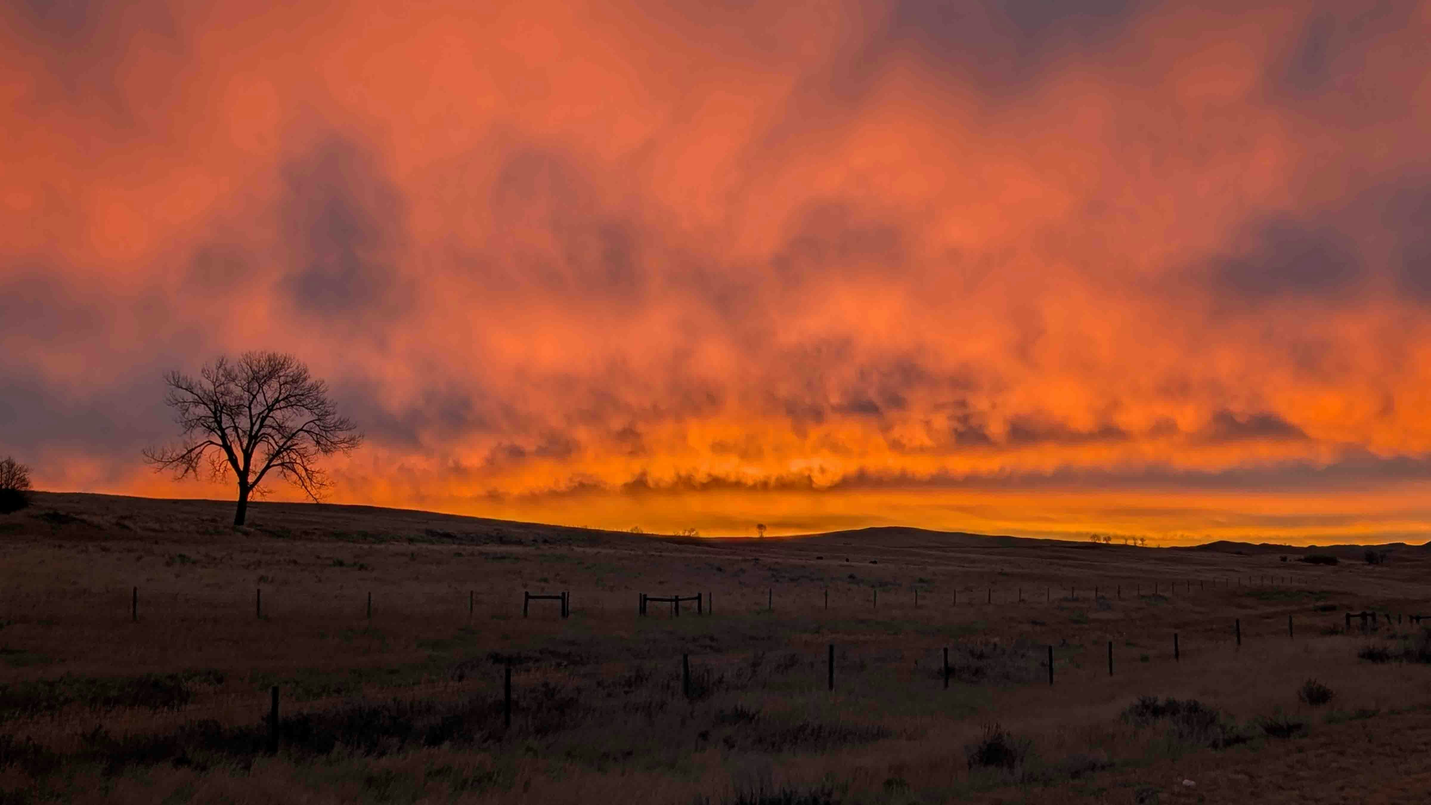 "Crazy, glorious sky lighting up the eastern sky near Lake DeSmet."