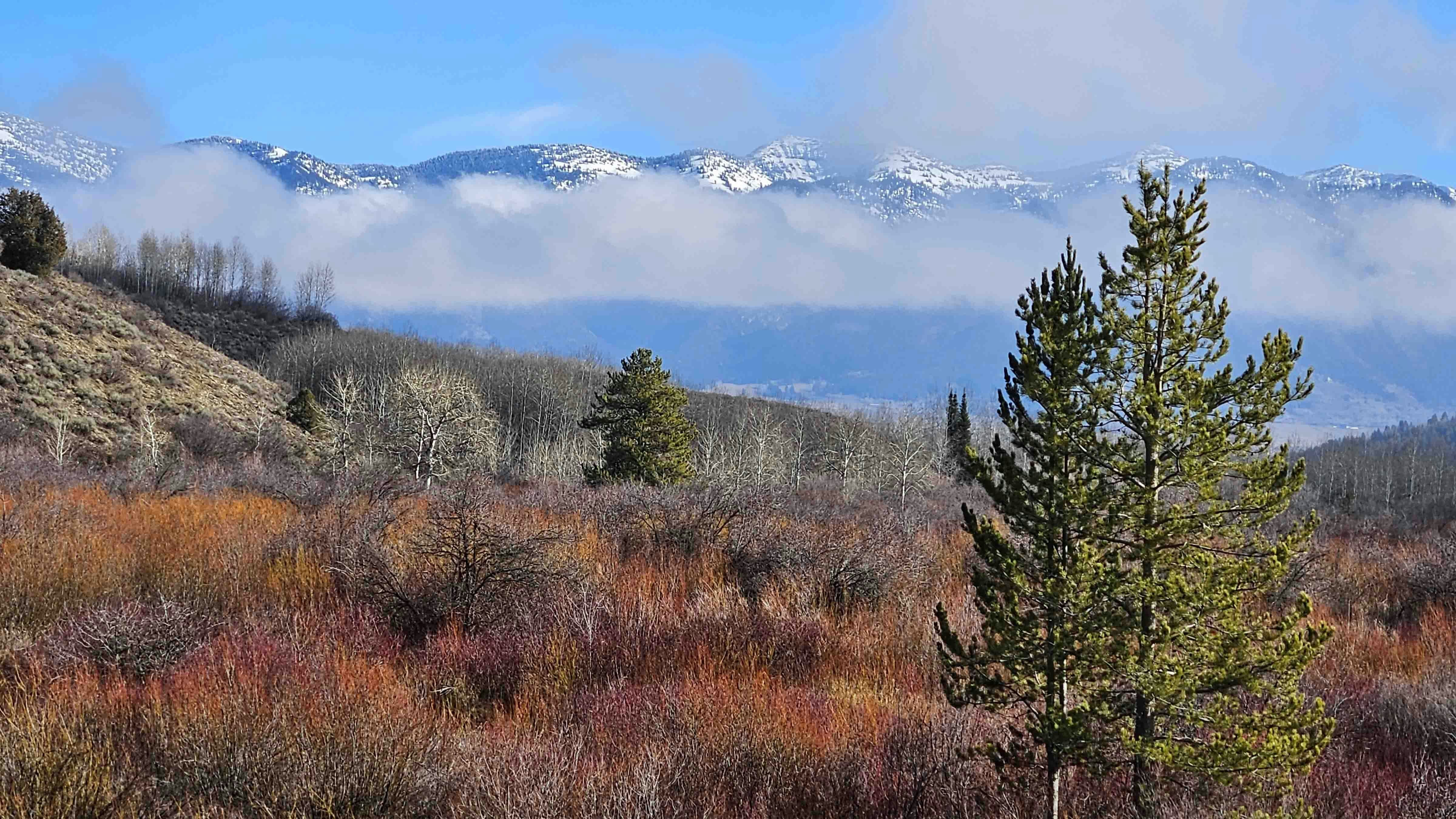 "Wyoming Range. Etna, Wyoming."