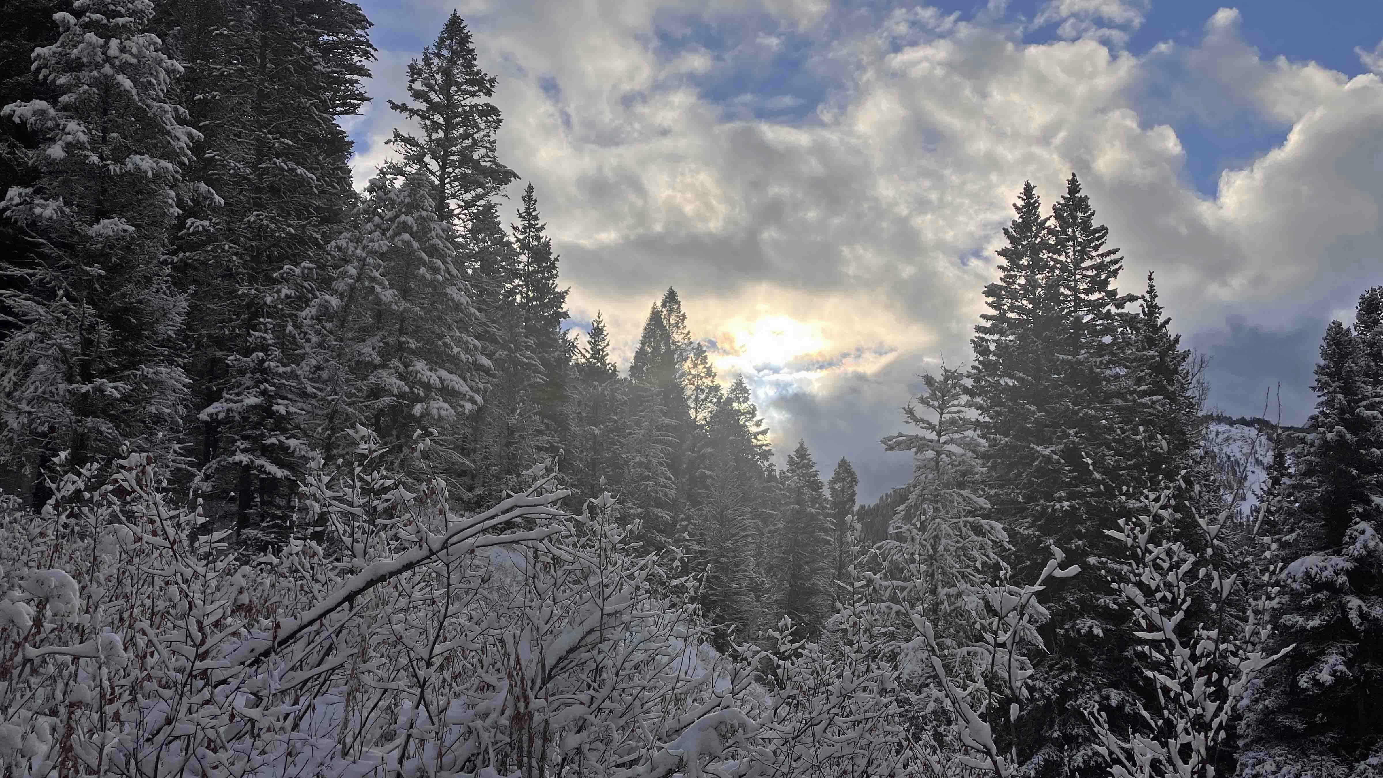 "I took this picture down the Hoback Canyon on 11/24/24, the fresh snow makes everything look prettier."