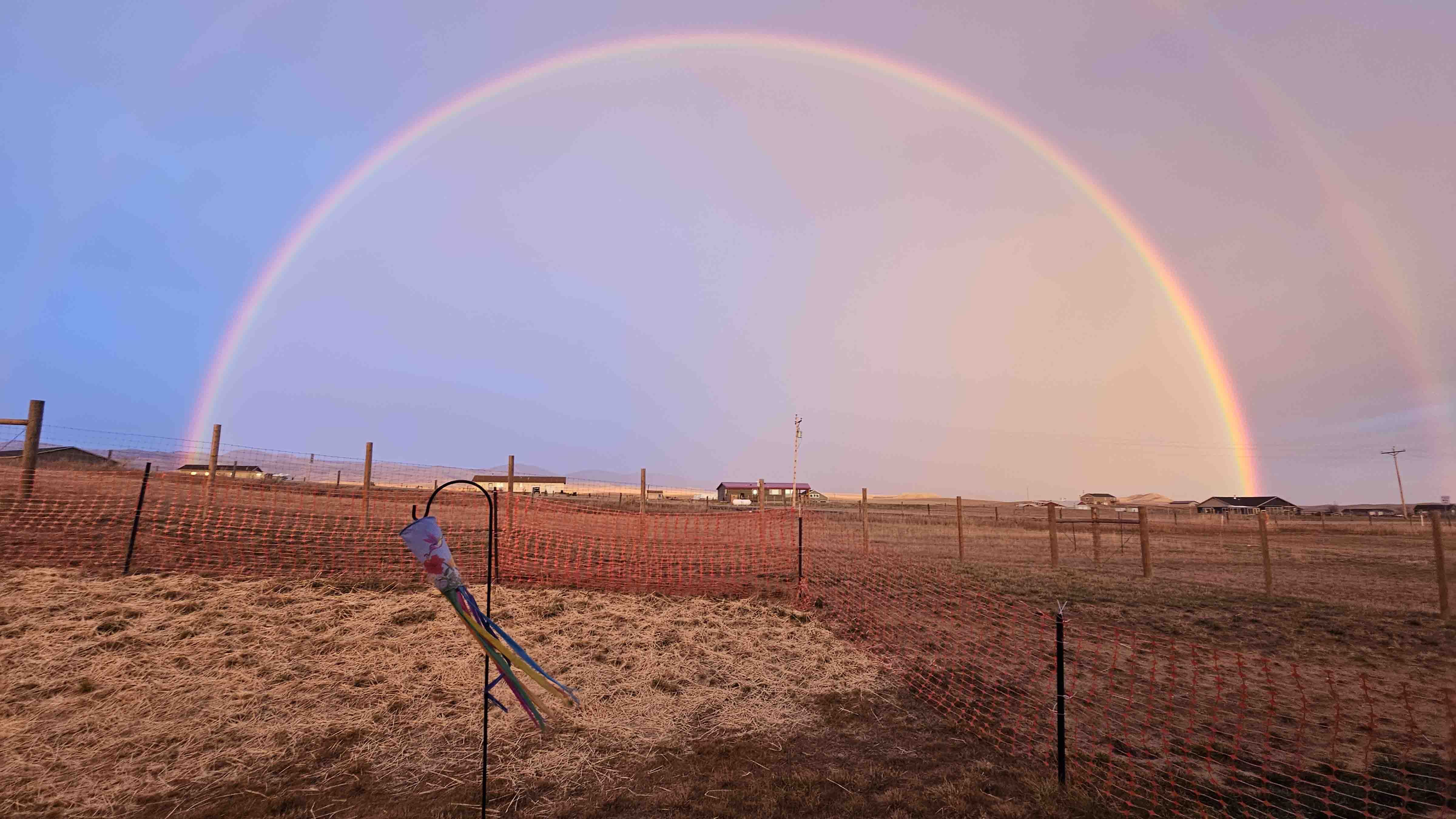 "Letting the dogs out this morning. Bighorn Mountains are in all that fog, but the double rainbow made a nice background. South of Buffalo."
