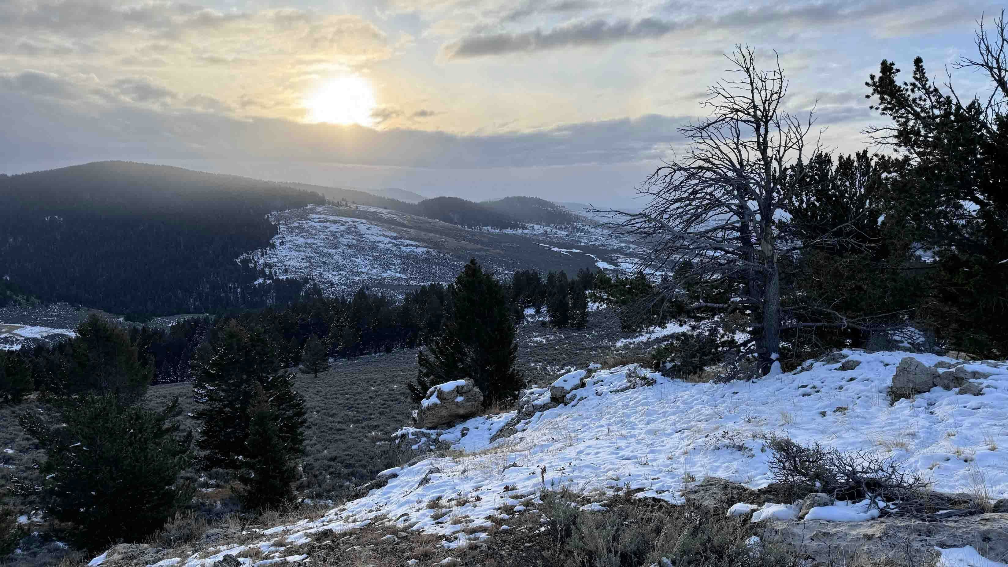 "Enjoying time elk hunting in the Big Horn Mountains with my son."