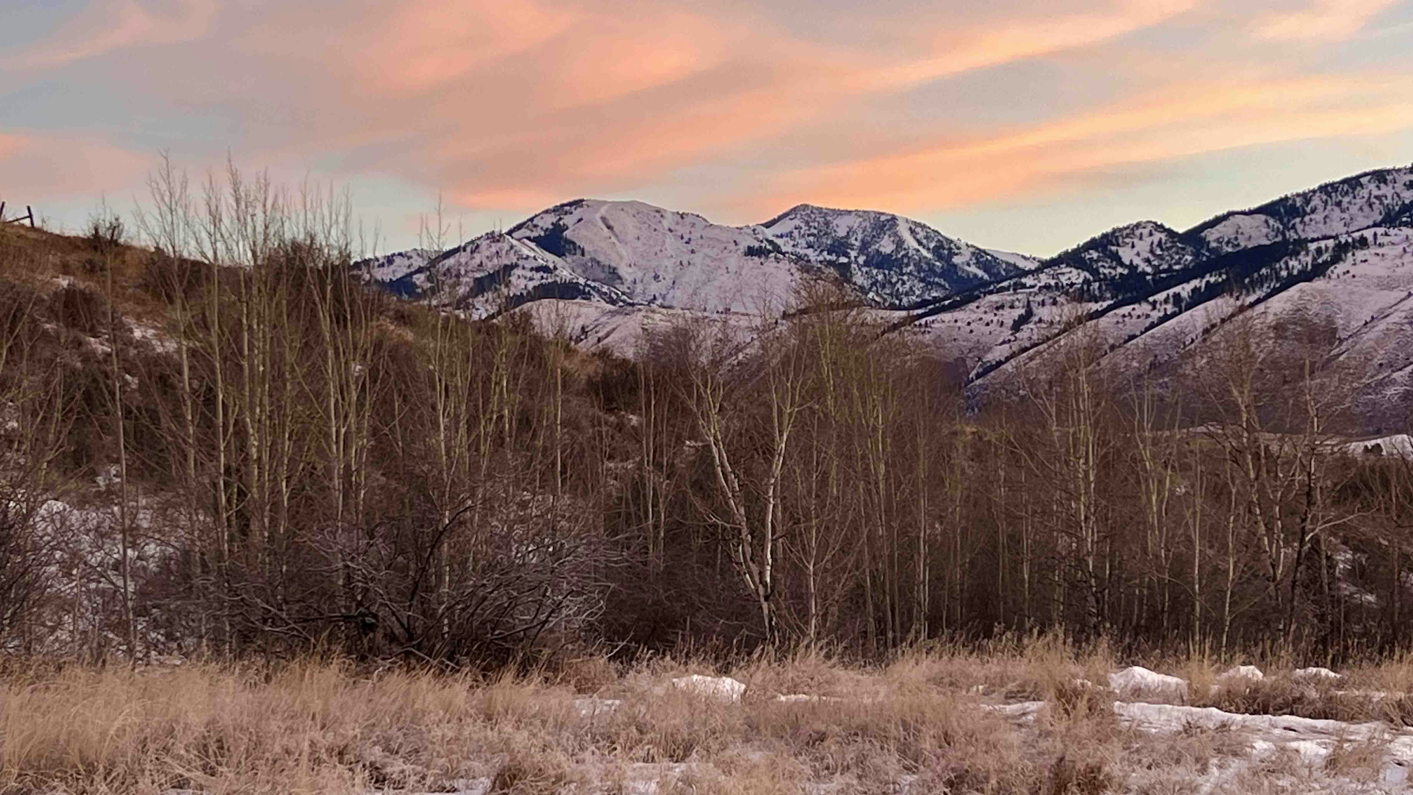Winter aspens along Anderson Creek in Fairview, Wyoming on Dec 9. Salt River Range in background.