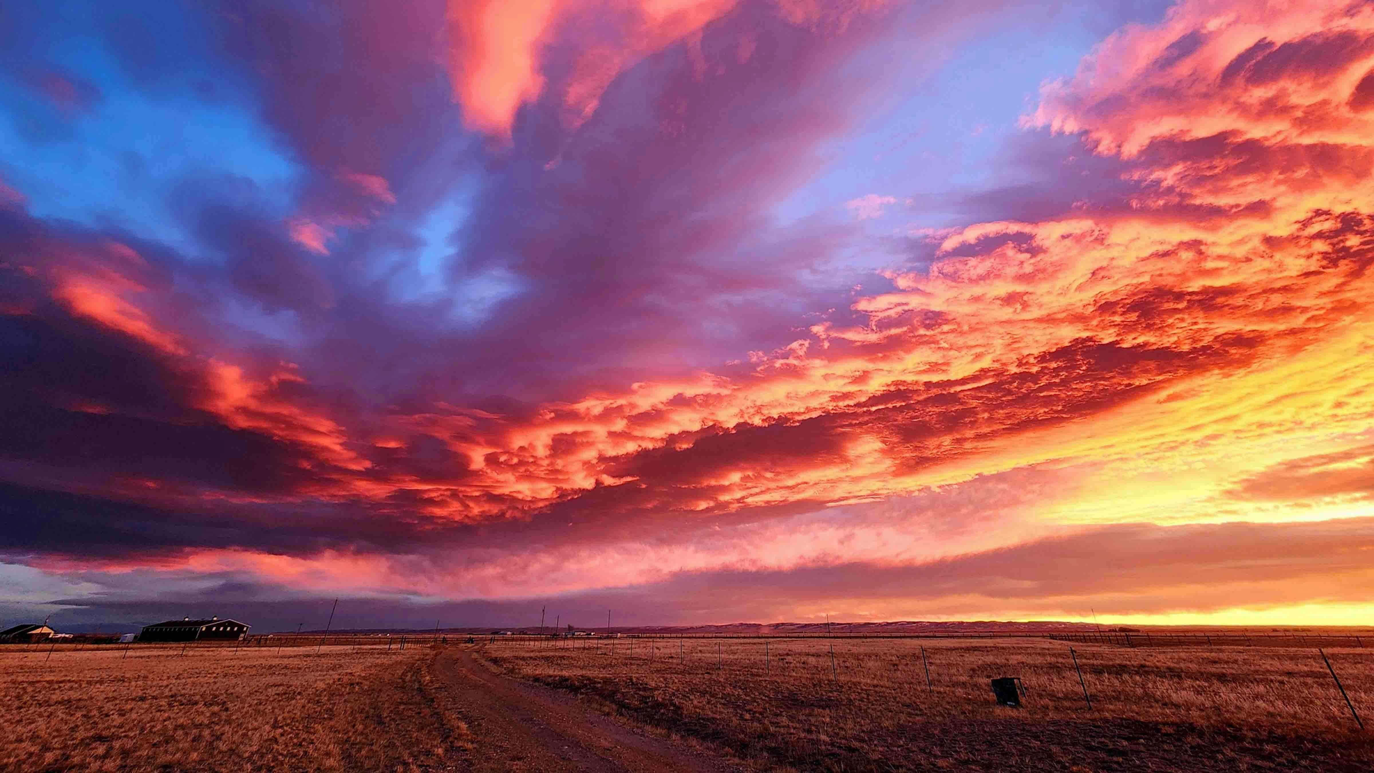 "The whole sky lit up this morning! Taken from our driveway in Harmony, Wyoming on Sunday."