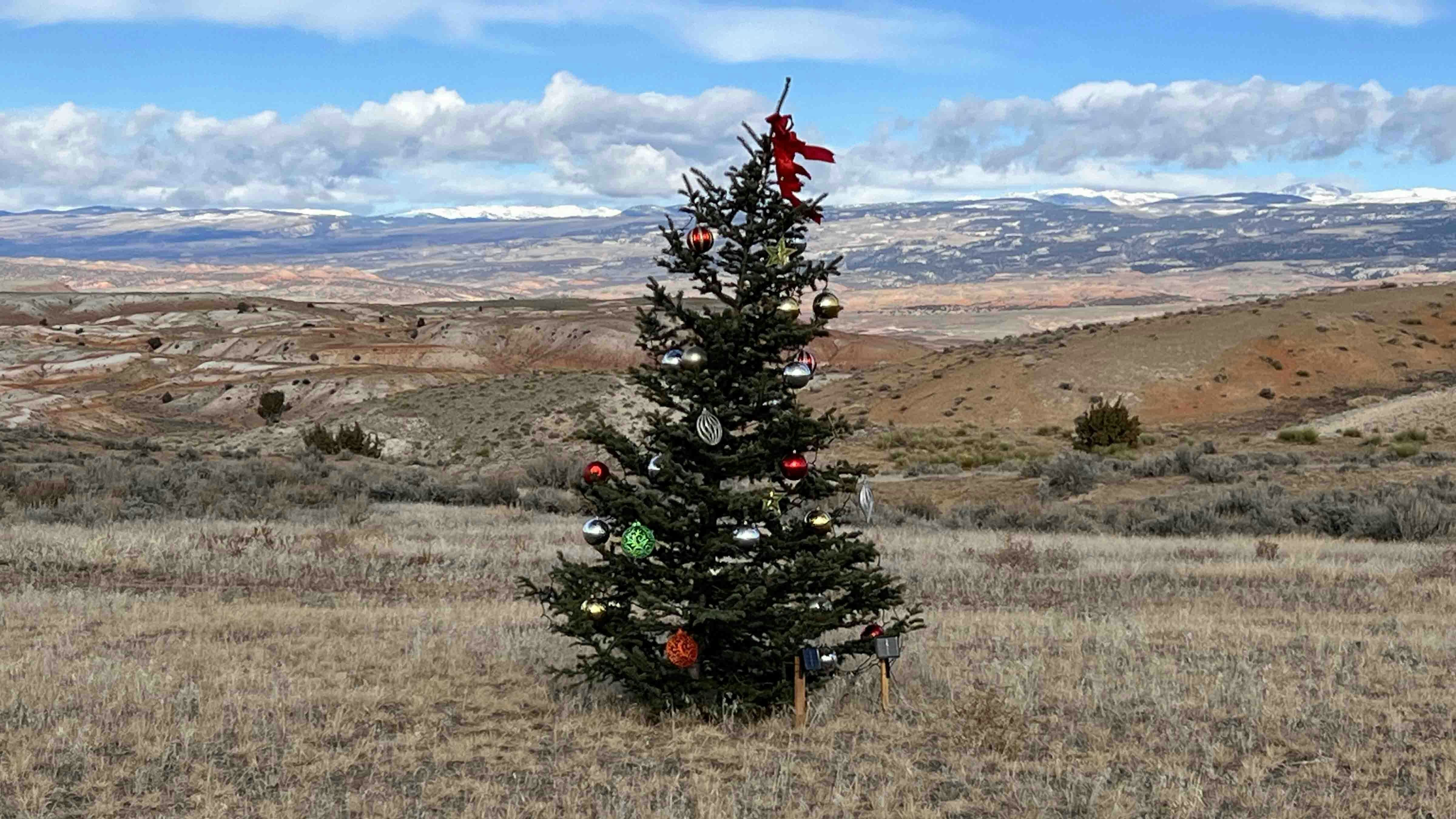 Christmas tree west of Ten Sleep, Wyoming with lights powered by solar on Dec 11, 2023