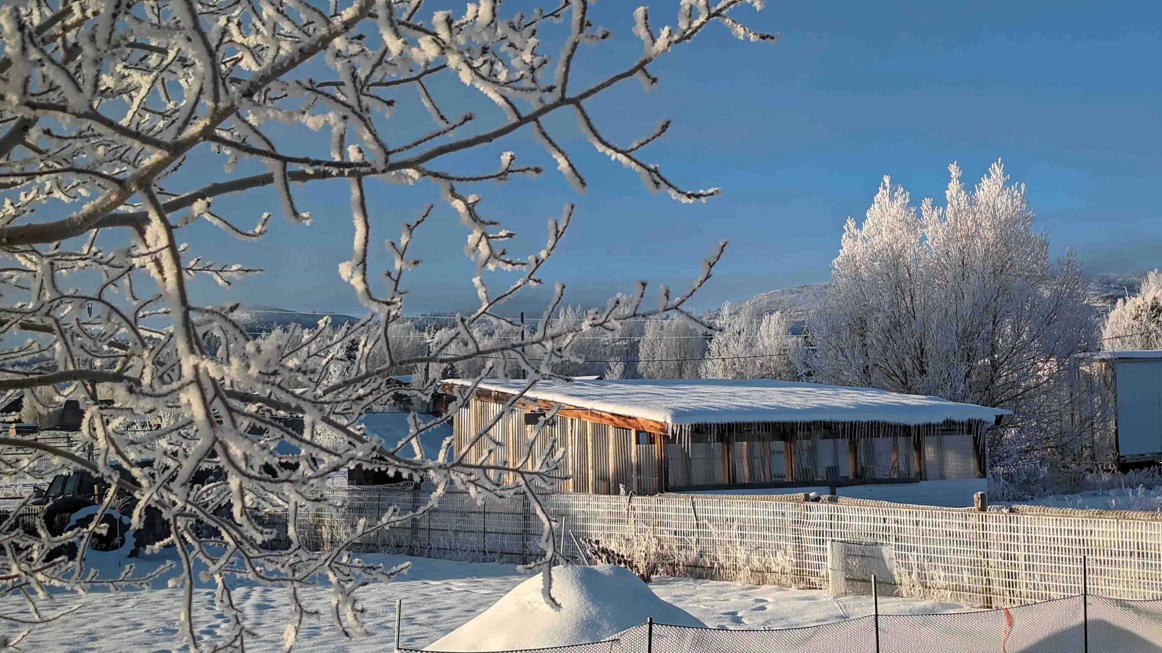Frosty zero-degree morning in Afton on Dec 14, 2023