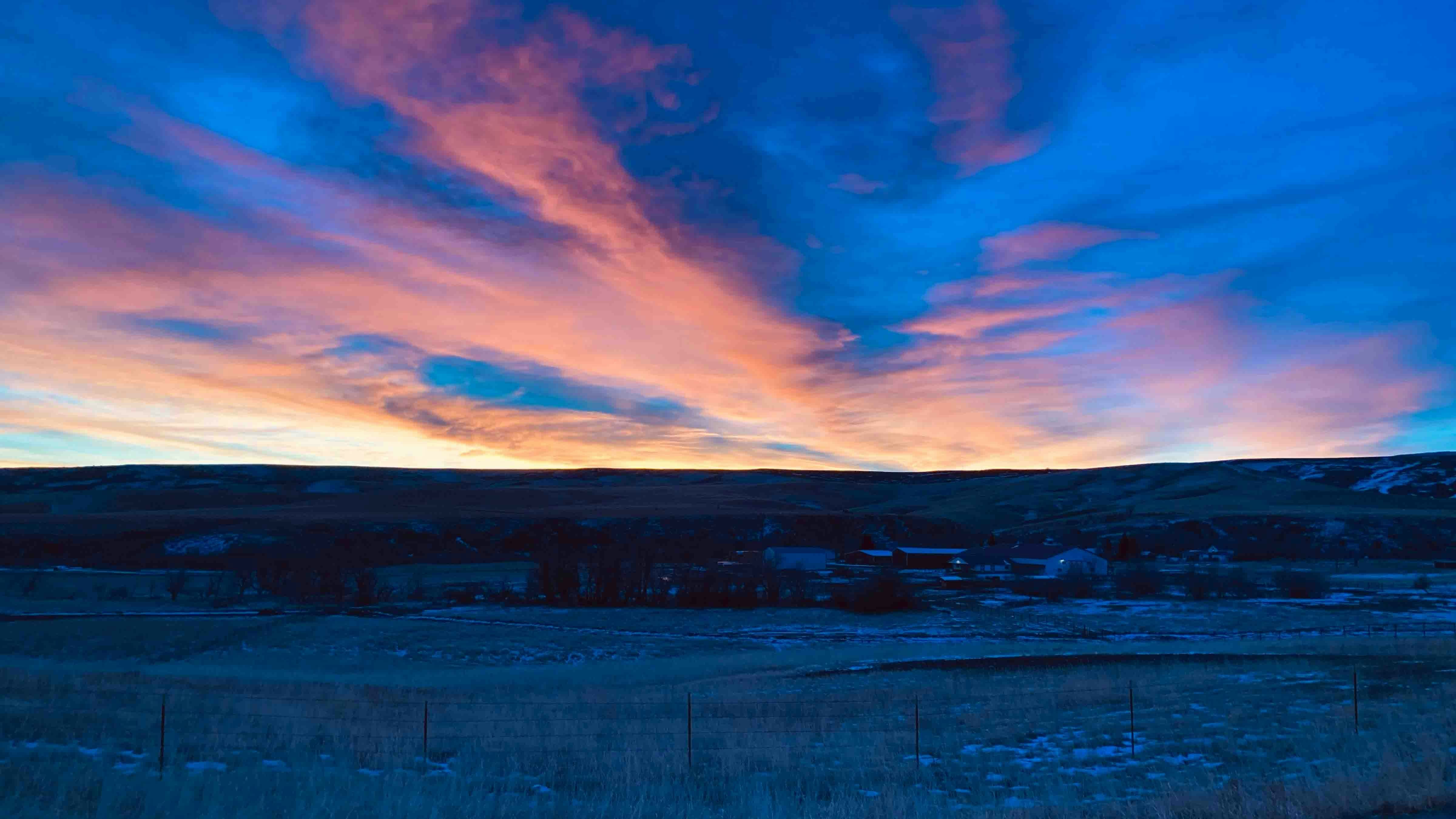 Early morning pheasant hunt near Parkman, Wyoming.