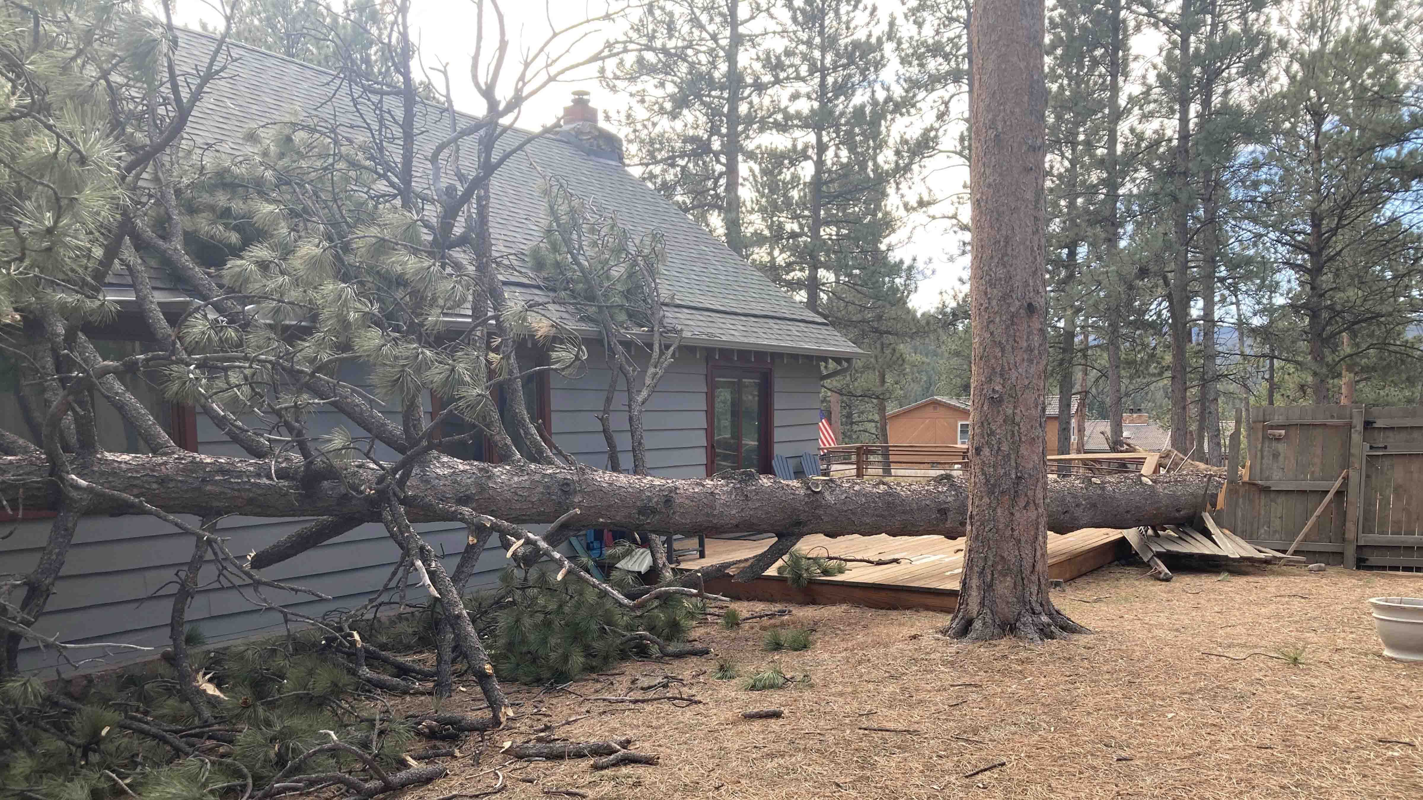 "We got a lot bigger Christmas Tree than we had planned on this year. Luckily, it was a glancing blow, or our home would have been kindling rather than nursing extensive roof damage."