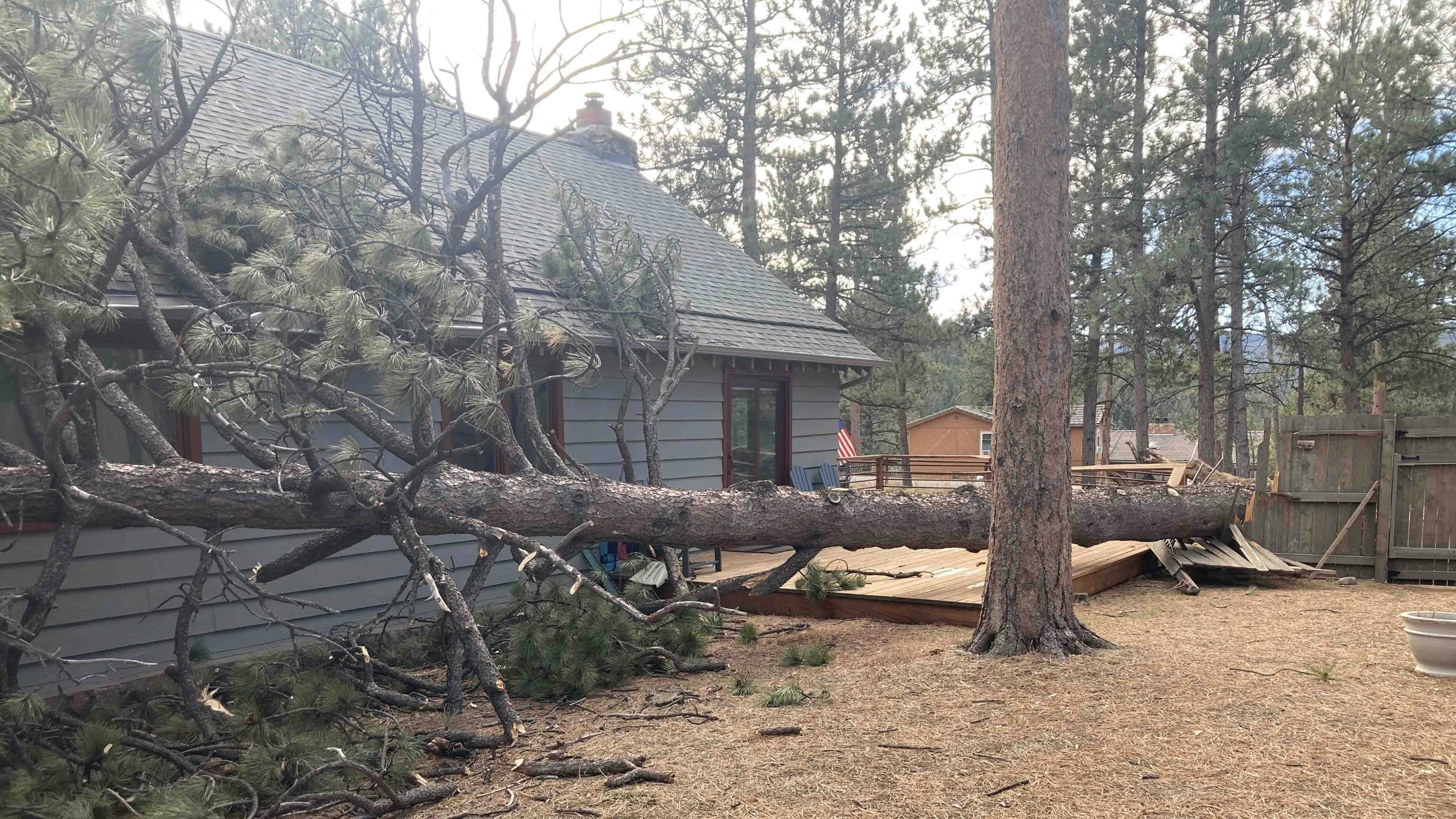 "We got a lot bigger Christmas Tree than we had planned on this year. Luckily, it was a glancing blow, or our home would have been kindling rather than nursing extensive roof damage."