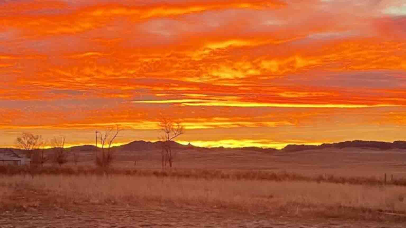 "What a beautiful Christmas present."