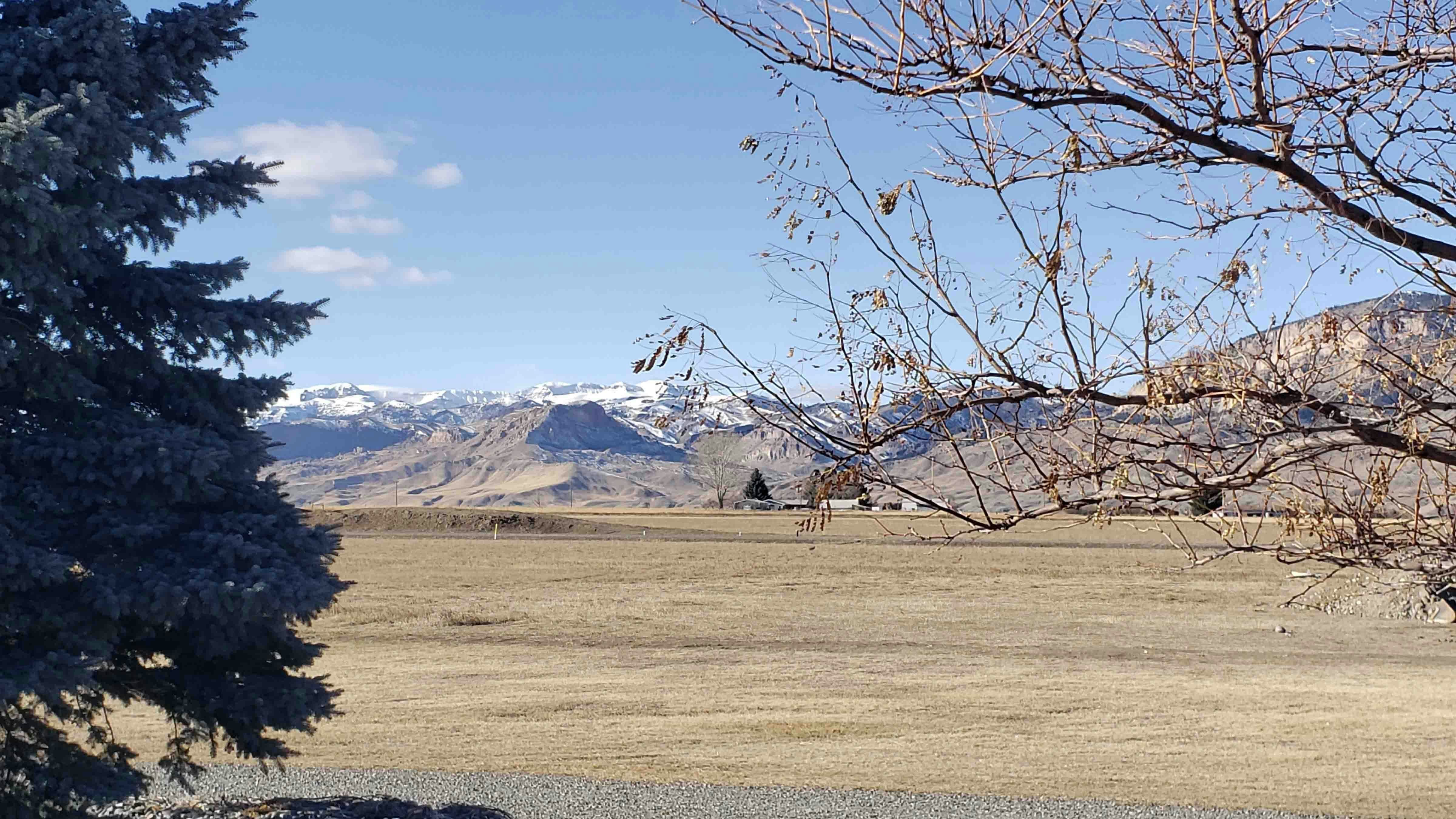 Along South Fork this morning, Cody Wyoming !! A bit breezy 😃